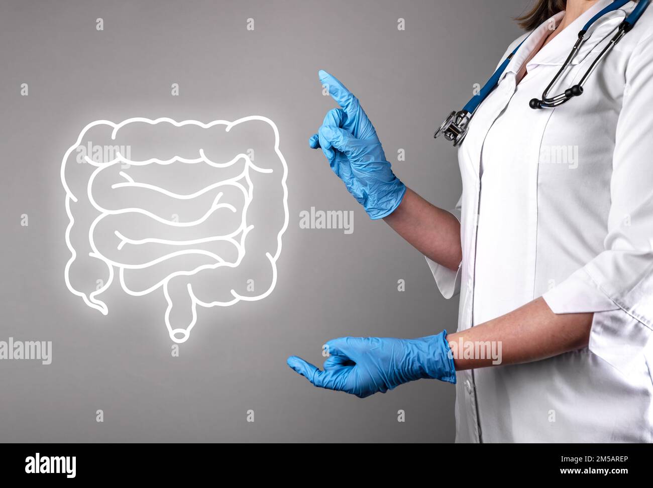 Darm, Eingeweide Organversorgung, medizinische Behandlung. Hochwertiges Foto Stockfoto