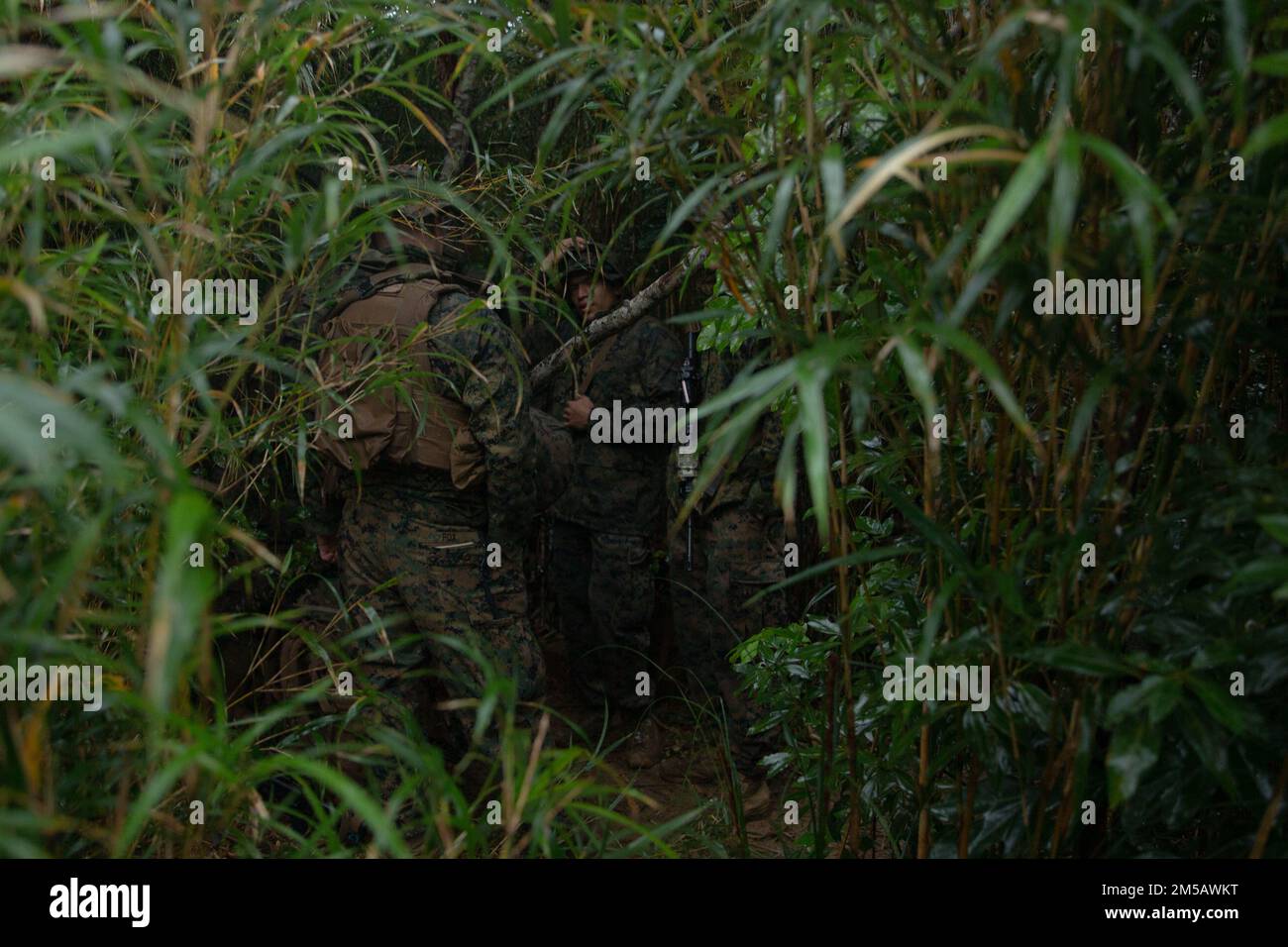 USA Marines mit Kampflogistik-Bataillon 4, Kampflogistik-Regiment 3, 3. Marine Logistics Group, bereiten Sie sich auf einen CH-53E Super-Hengst mit Marine Heavy Helicopter Squadron 466 während der Jungle Warfare-Übung 22, 17. Februar 2022, Camp Gonsalves, Okinawa, vor. Japan. JWX 22 ist eine groß angelegte Schulung vor Ort, die darauf ausgerichtet ist, die integrierten Fähigkeiten gemeinsamer und verbundener Partner zu nutzen, um die Sensibilisierung für alle Bereiche, das Manövrieren und Brände in einer verteilten maritimen Umgebung zu stärken. Stockfoto