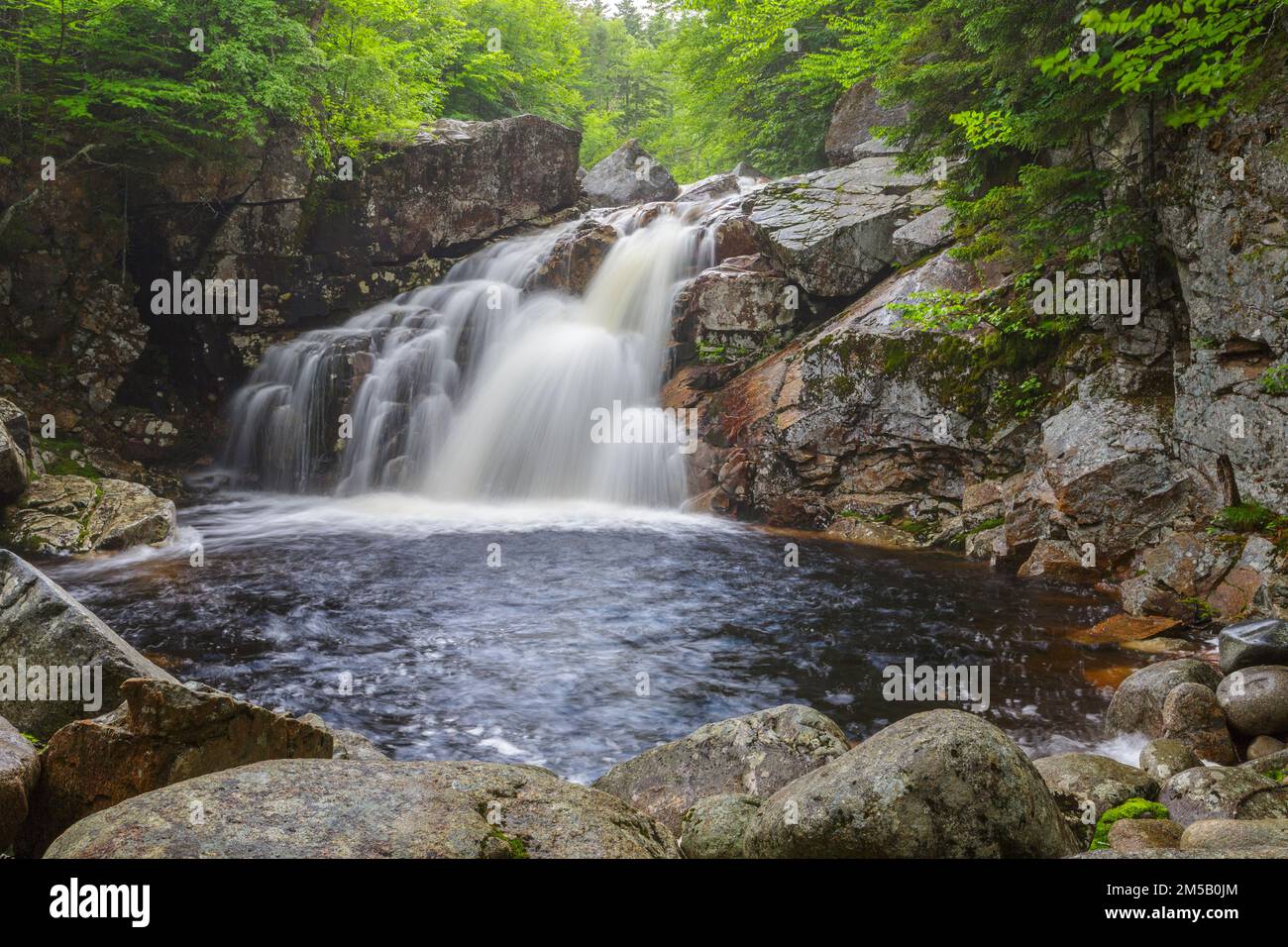 Der oberste Abschnitt der Rocky Glen Falls am Cascade Brook in Lincoln, New Hampshire, an einem Sommertag. Dieser Bach liegt am Basin-Cascade Trail. Stockfoto