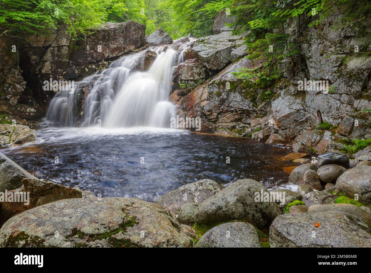 Der oberste Abschnitt der Rocky Glen Falls am Cascade Brook in Lincoln, New Hampshire, an einem Sommertag. Dieser Bach liegt am Basin-Cascade Trail. Stockfoto