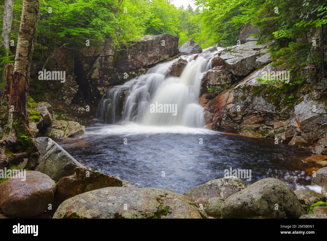 Der oberste Abschnitt der Rocky Glen Falls am Cascade Brook in Lincoln, New Hampshire, an einem Sommertag. Dieser Bach liegt am Basin-Cascade Trail. Stockfoto