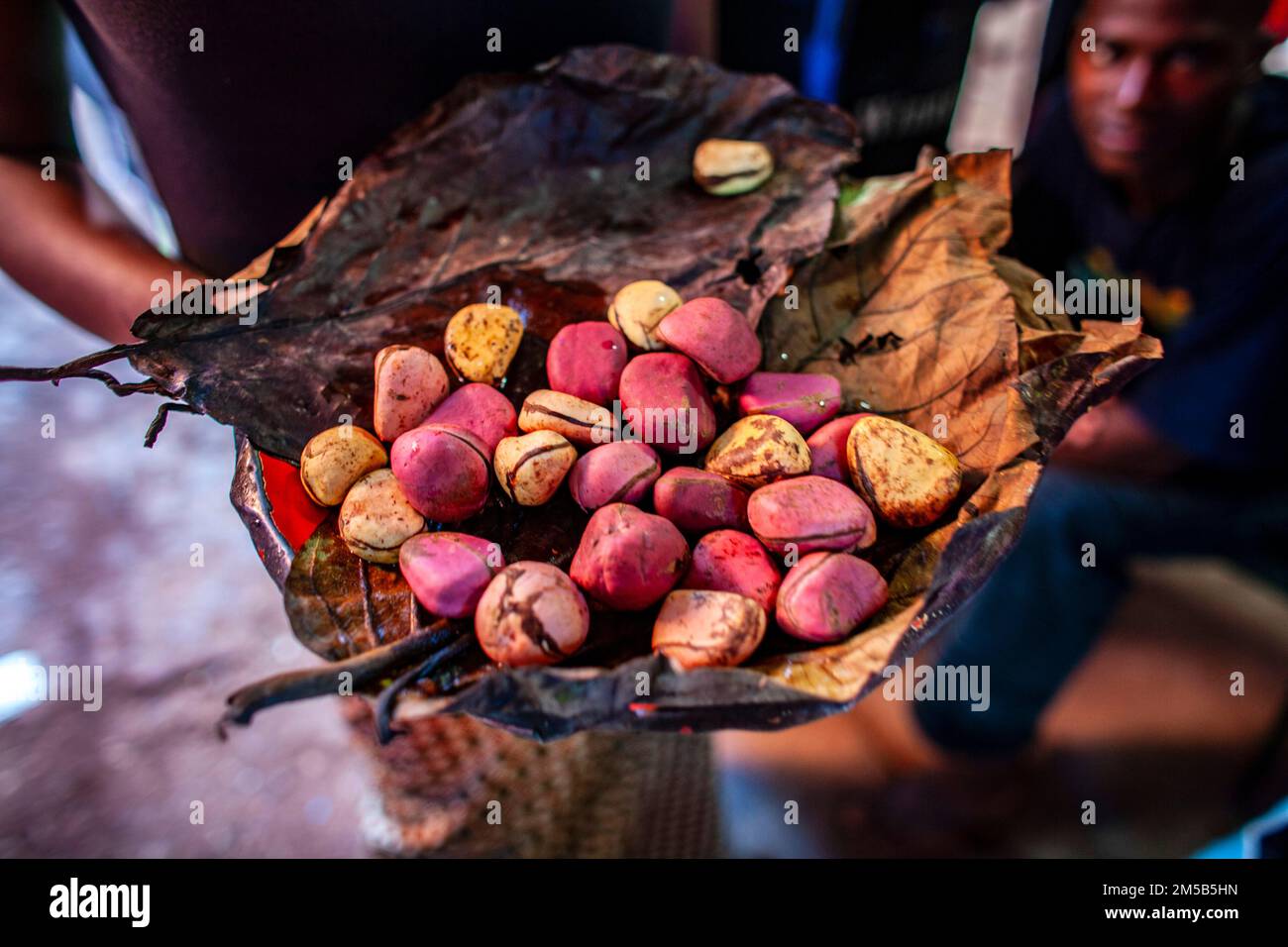 Kola-Nüsse auf einem afrikanischen Markt in Mali, Westafrika Stockfoto