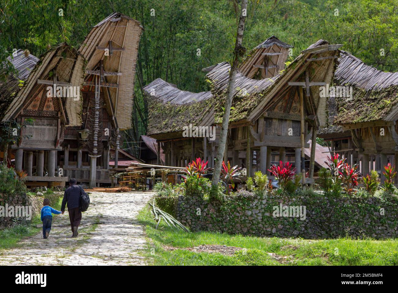 Tongkonan traditionelles Haus in Toraja, Süd-Sulawesi, Indonesien Stockfoto