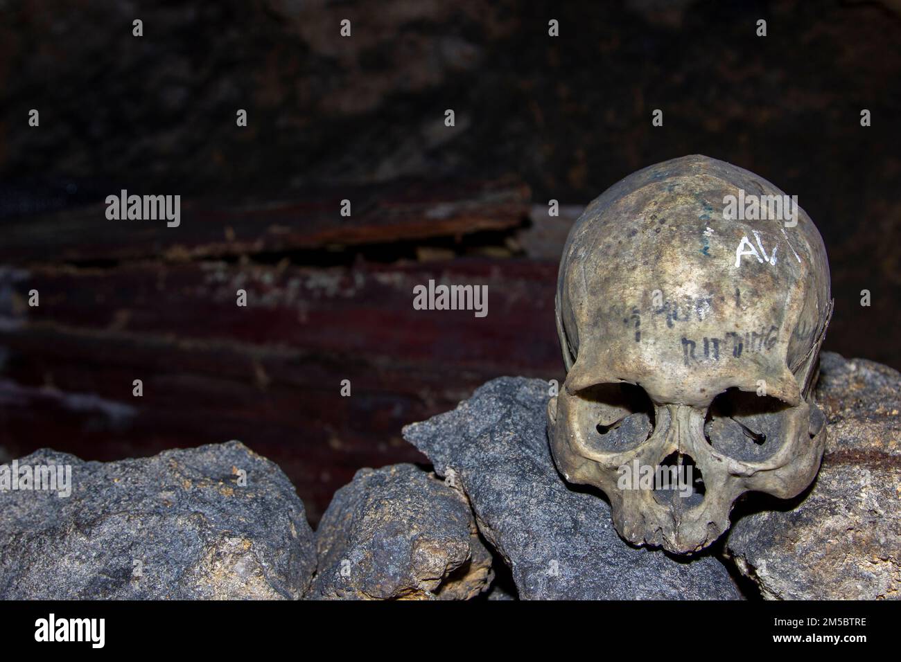 Skelette im traditionellen Grab des Toraja-Stammes, Süd-Sulawesi, Indonesien. Stockfoto