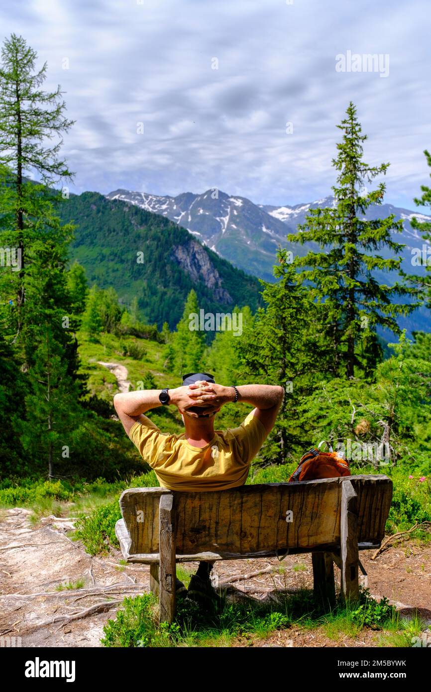 Bergsteiger auf dem Zirbenweg, auf dem Graukogel, Bad Gastein, Gastein Valley, Salzburger Land, Österreich, Europa Stockfoto