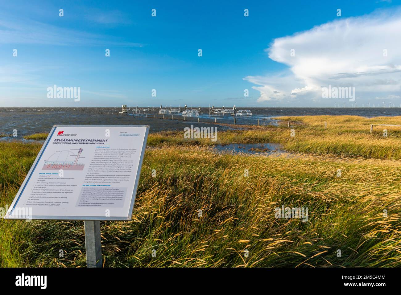 Überflutete Salzwiesen an der Hamburger Hallig, Universität Hamburg, Erwärmungsexperiment, Wärmekuppeln, Windturbinen in den Reussenkoegen, Norden Stockfoto