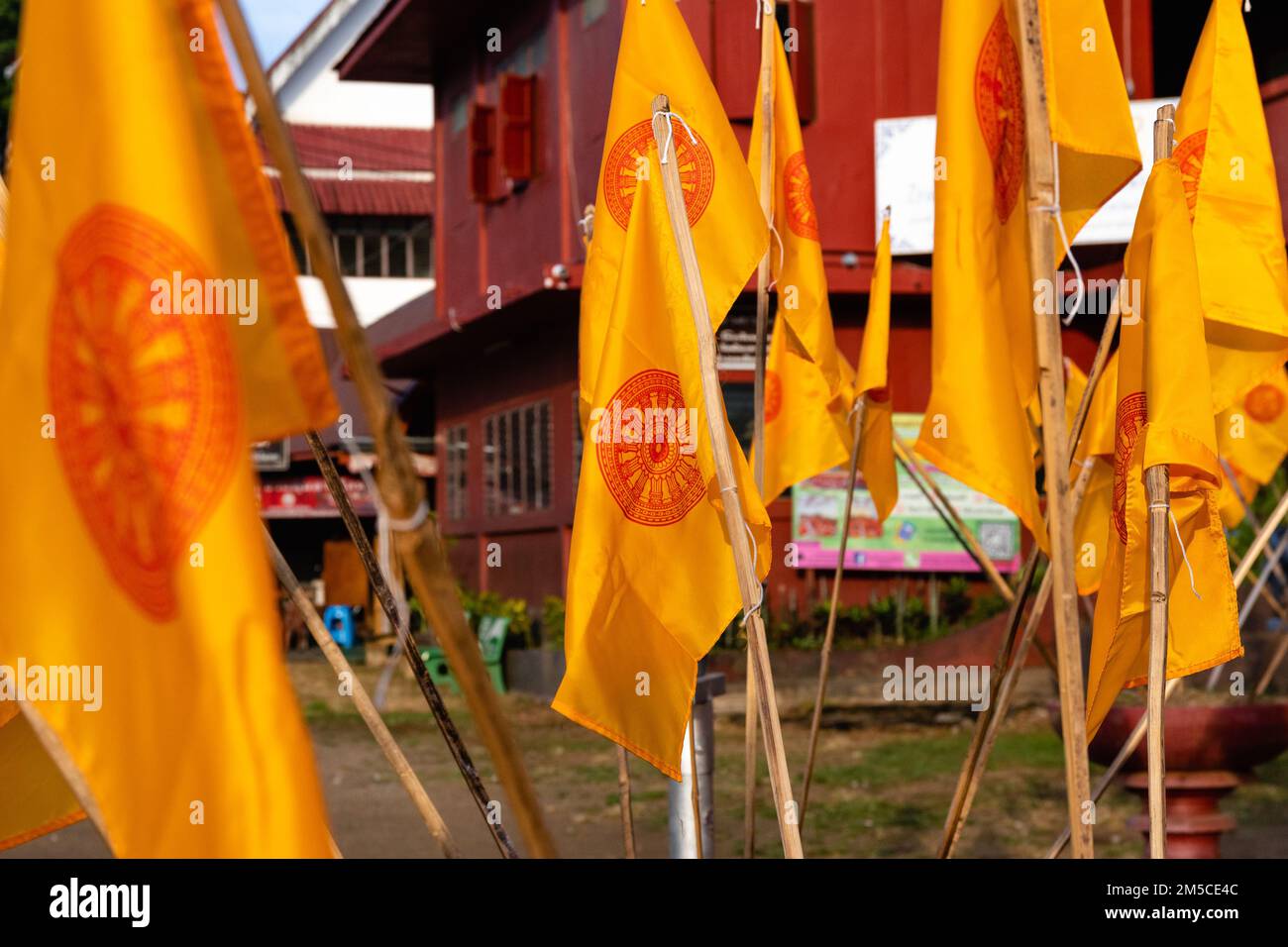 Nahaufnahme der gelben buddhistischen Flaggen (die Dharmacakra-Flagge) vor dem Phan Tao-Tempel in Chiang Mai, Thailand. Stockfoto