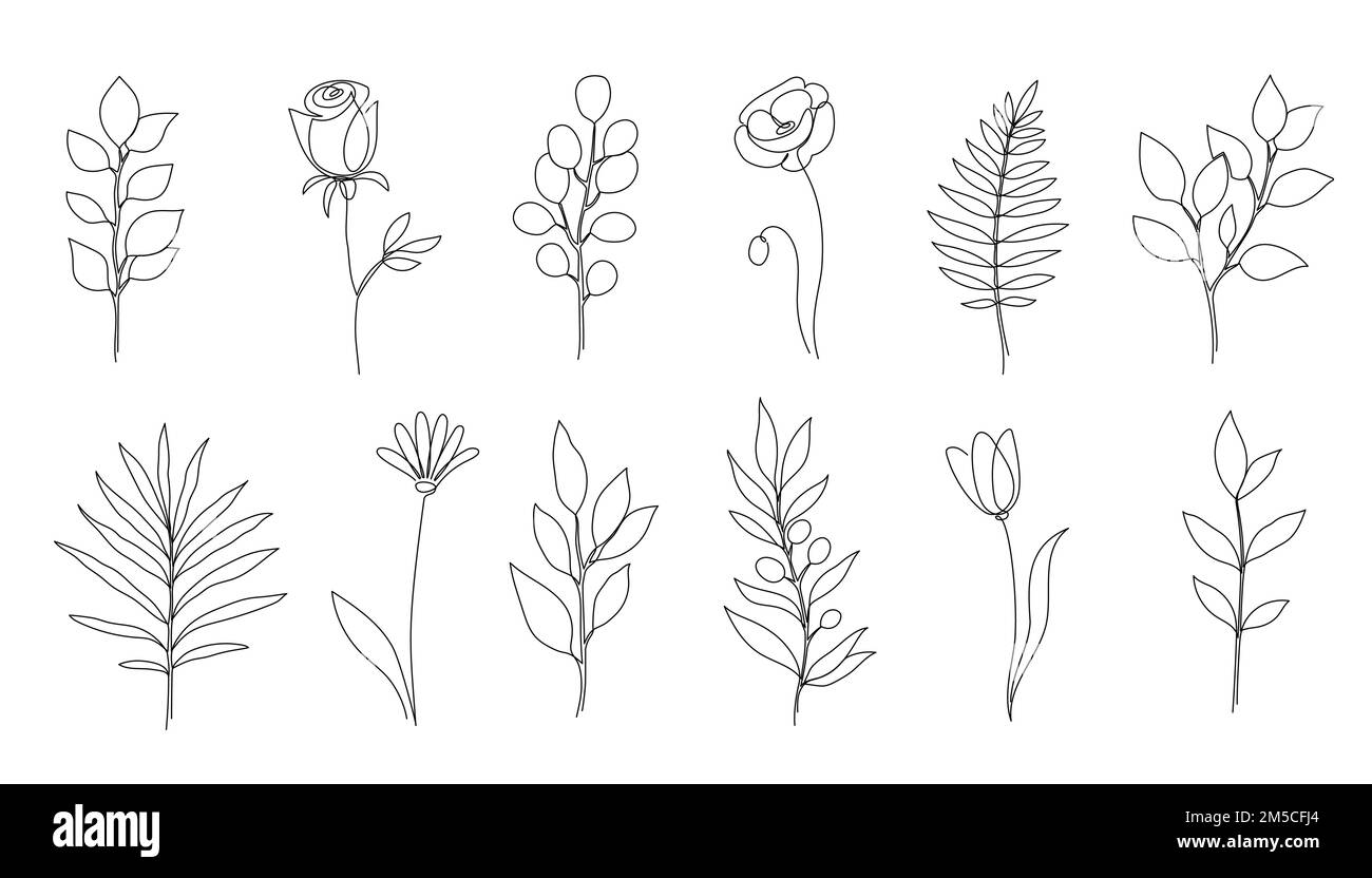 Blume, Blumenblatt, eine Strichkunst. Ein ununterbrochenes Kunstblatt, minimalistisches Blumendesign. Editierbares Stroke-Eukalyptus-Ast, Rose, Mohnblütenelement. Darstellung isolierter Vektoren Stock-Vektorgrafik