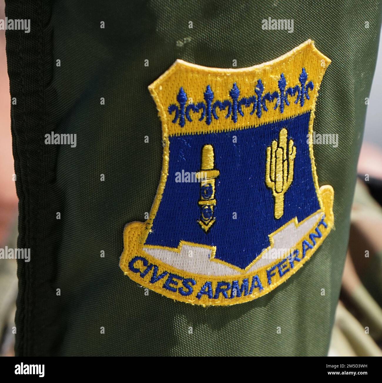 Das Wappen des 1. Bataillons, 109. InfanterieRegiment, ist auf das