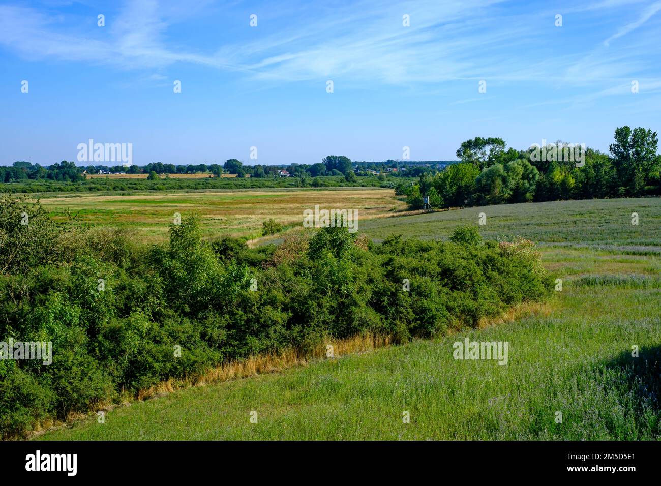 Vegetation und Landschaft im Peene-Tal bei Randow, Hansestadt Demmin, Mecklenburg-Vorpommern, Deutschland, Europa. Stockfoto