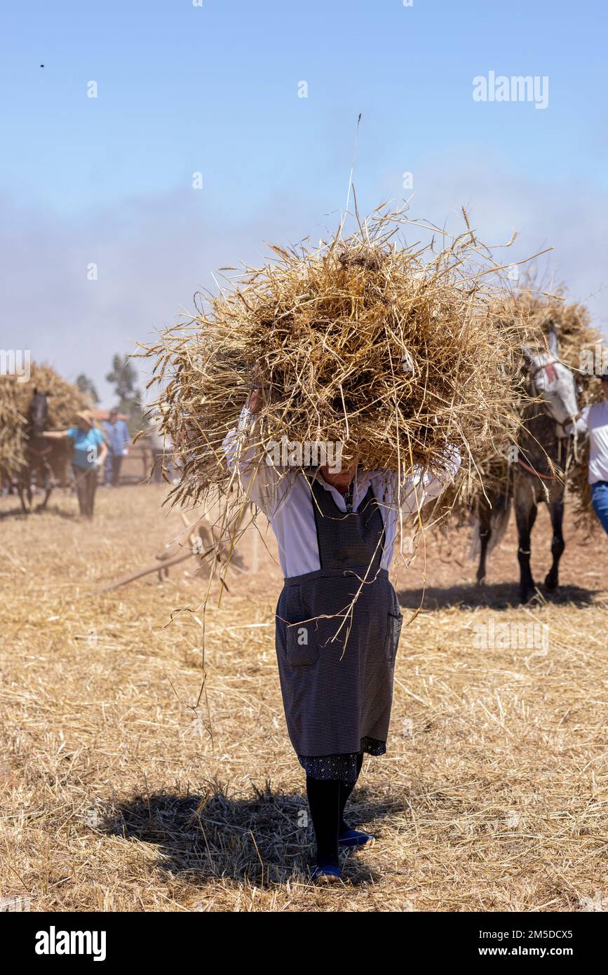 Frau trägt eine Ladung geernteten Mais auf ihrem Kopf zum Dreschkreis Dia de la trilla im Ecomuseo in San Jose de Los Llanos, El Tanque, 10 Stockfoto
