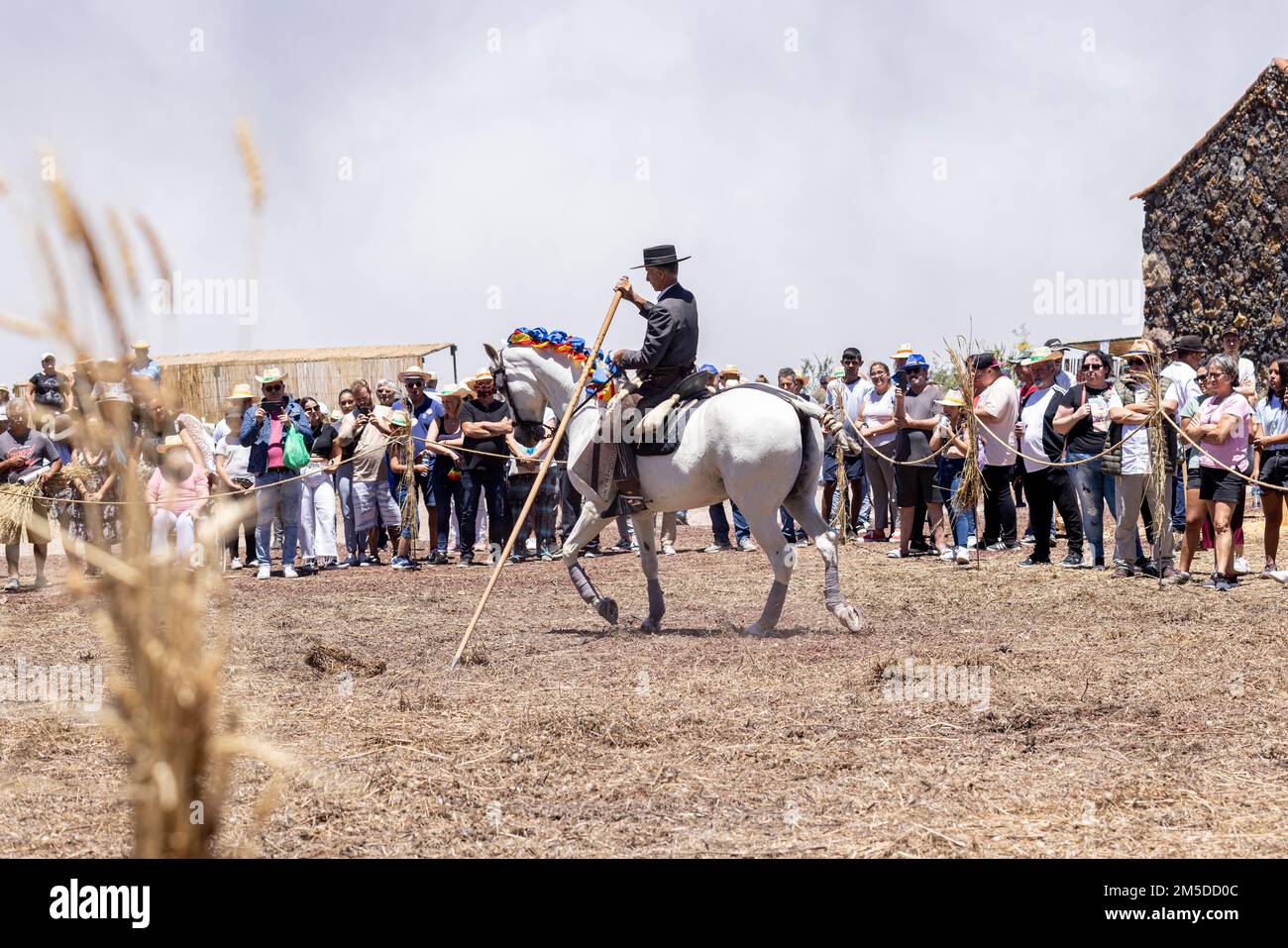 Andalusischer Reiter mit traditioneller Reiterkunst und montierter Tanzvorstellung zur Musik am Dreschtag, Dia de la trilla im Stockfoto
