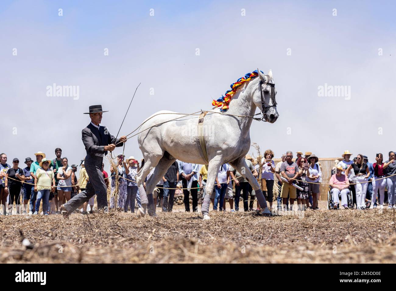 Andalusischer Reiter mit traditioneller Reiterkunst und montierter Tanzvorstellung zur Musik am Dreschtag, Dia de la trilla im Stockfoto
