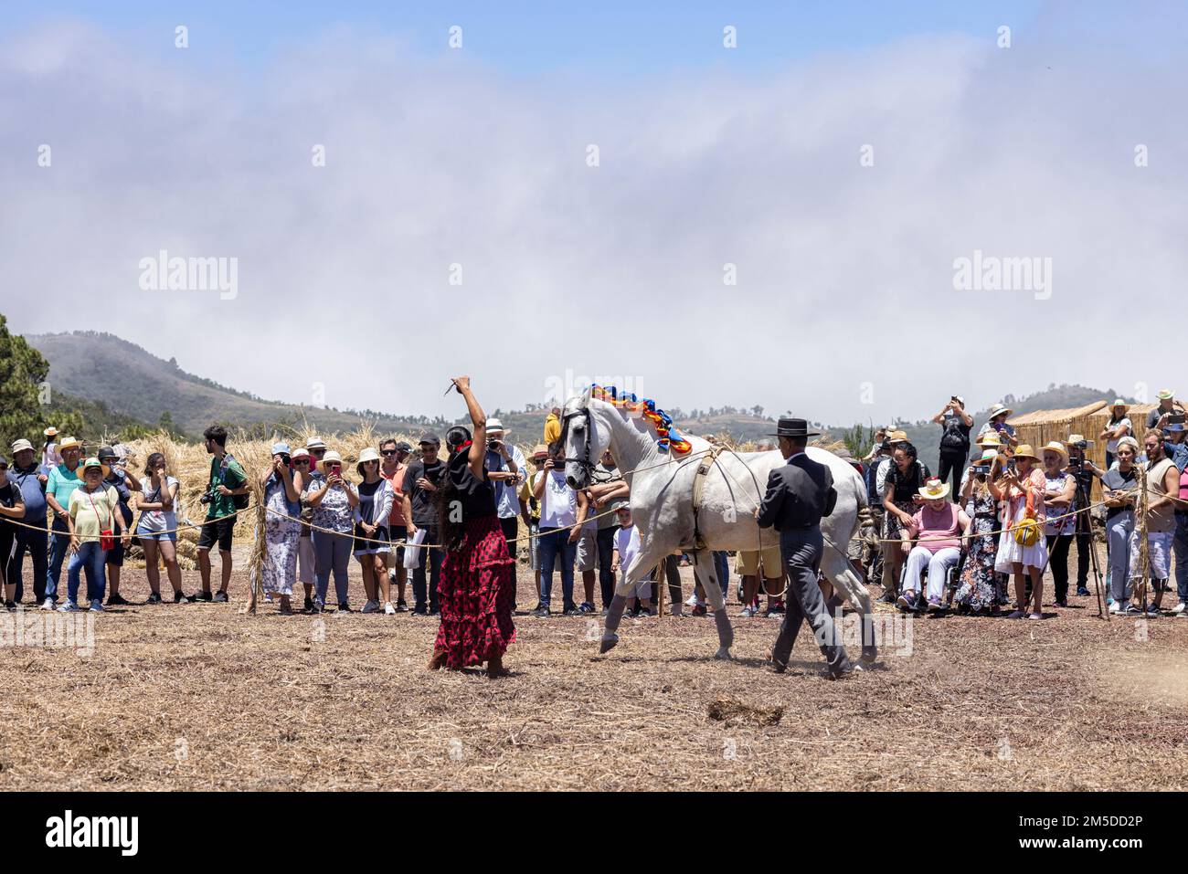Andalusischer Reiter mit traditioneller Reiterkunst und montierter Tanzvorstellung zur Musik am Dreschtag, Dia de la trilla im Stockfoto