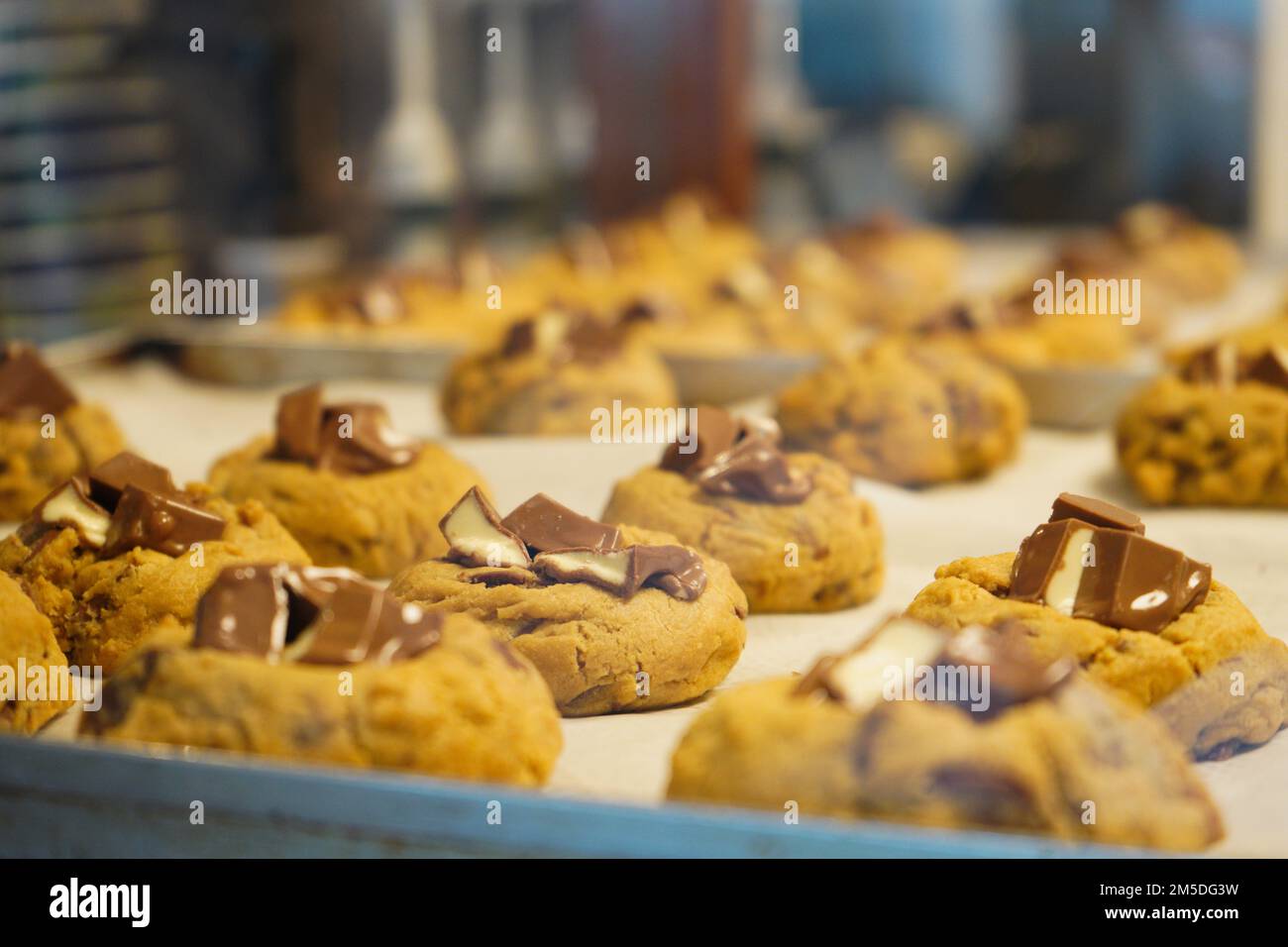 Backblech mit leckeren Keksen aus dem Ofen in einer Bäckerei. Stockfoto