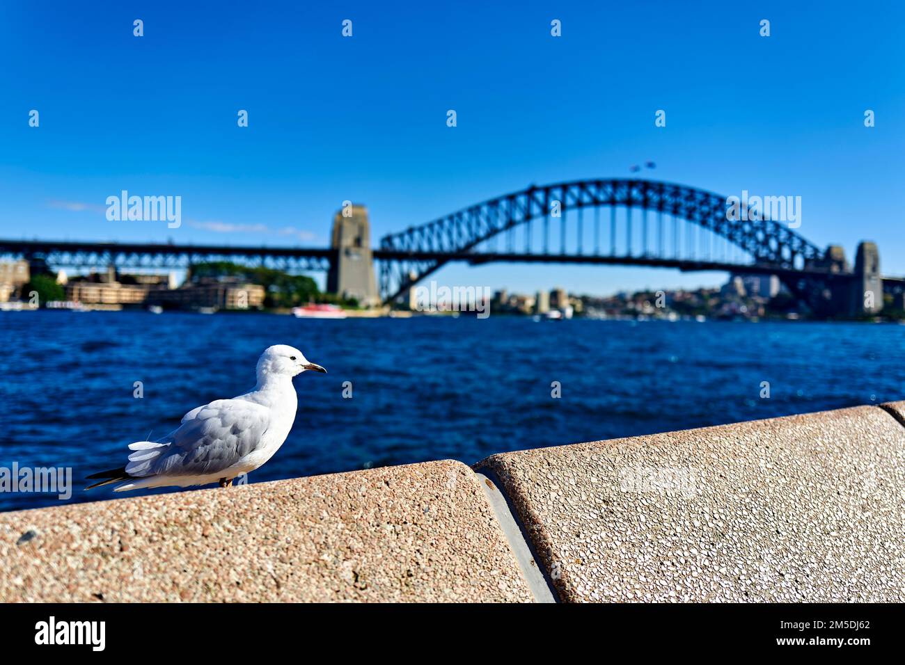 Sydney. New South Wales. Australien. Die Hafenbrücke Stockfoto