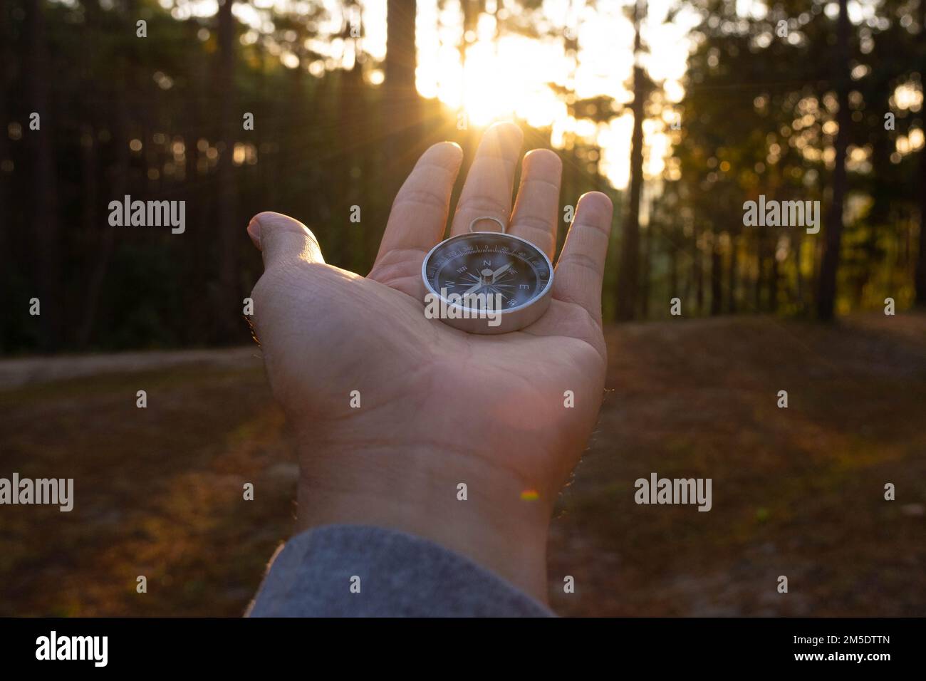 Kompass in der Hand auf dem natürlichen Hintergrund des Kiefernwaldes. Hand-Halten-Kompass in Waldlandschaft. Junge Reisende auf der Suche nach dem Kompass im Sommer Stockfoto
