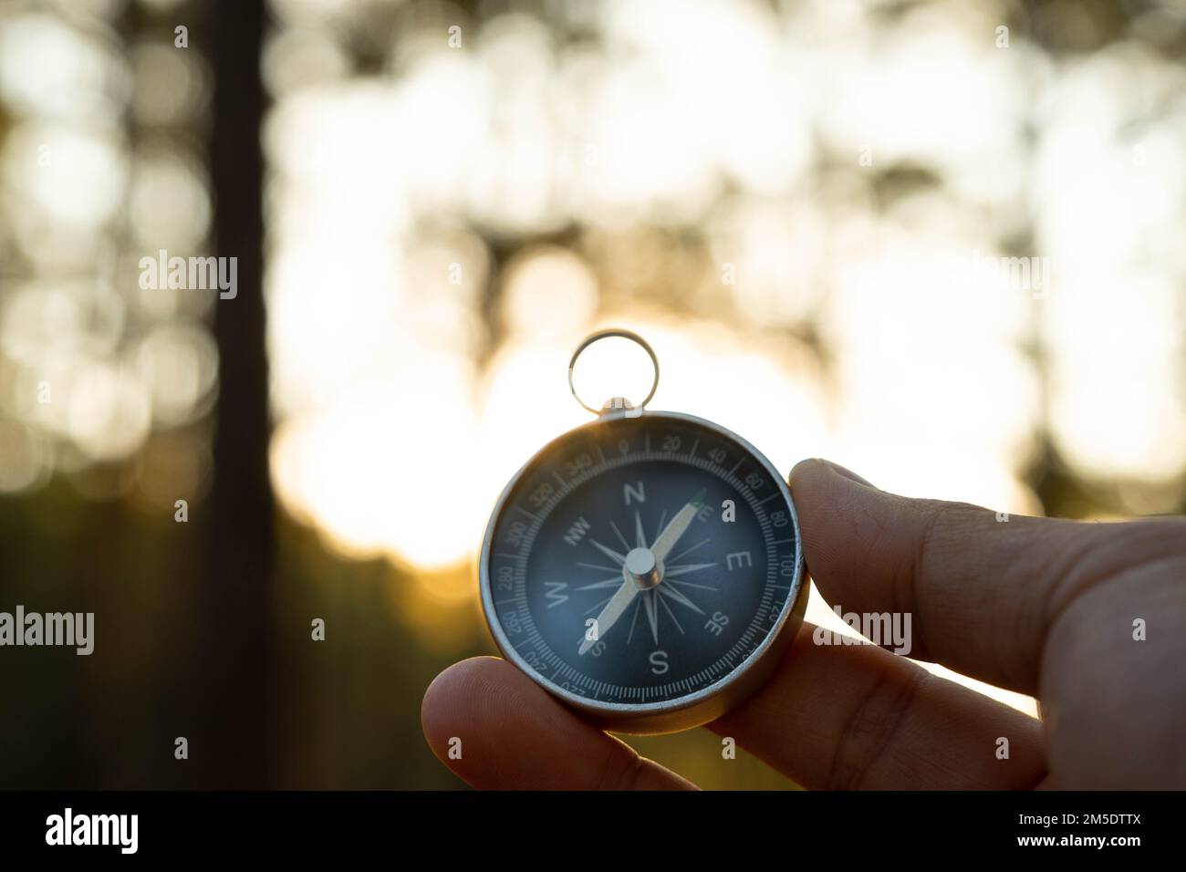 Kompass in der Hand auf dem natürlichen Hintergrund des Kiefernwaldes. Hand-Halten-Kompass in Waldlandschaft. Junge Reisende auf der Suche nach dem Kompass im Sommer Stockfoto