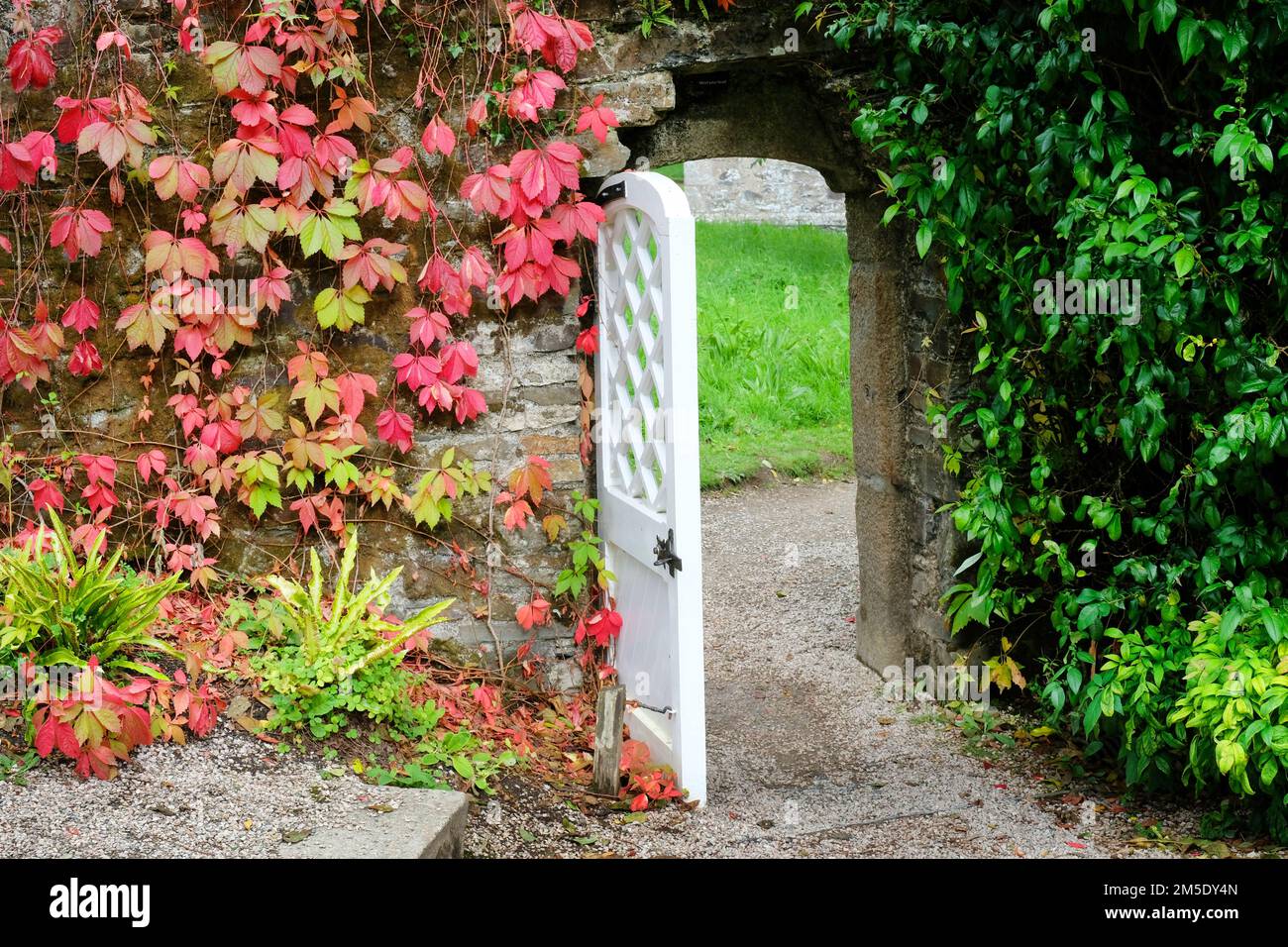 Gartentor - John Gollop Stockfoto