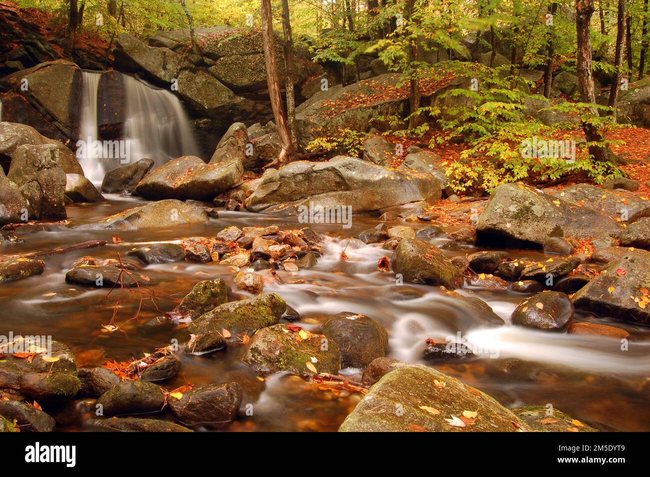 Herbstblätter fallen um einen plätschernden Bach und einen Wasserfall Stockfoto