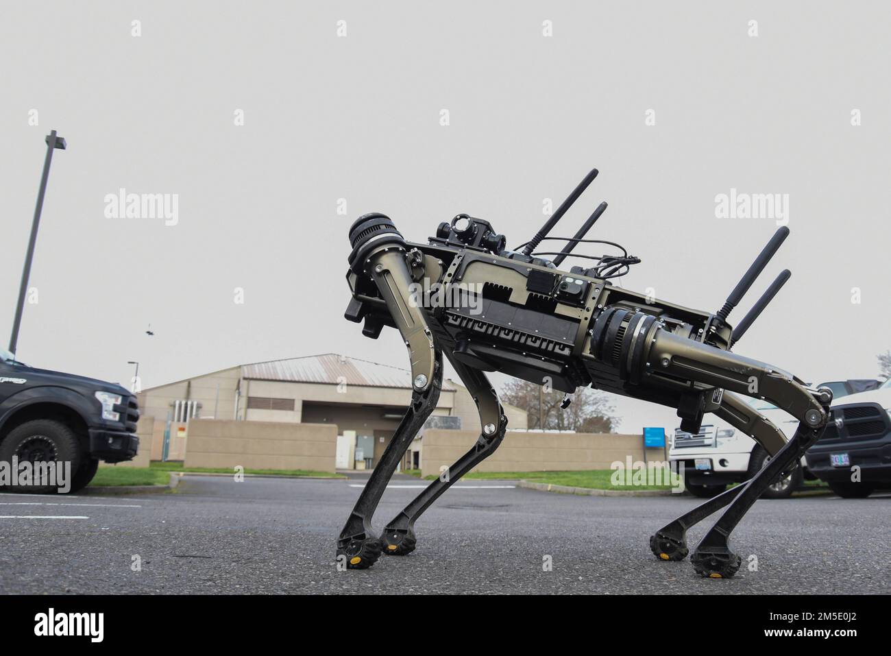 Ein Quadrupedal Unmanned Ground Vehicle (QUGV) oder „Robot Dog“ führt am 5. März 2022 einen Probelauf auf dem Luftwaffenstützpunkt Portland, Oregon, durch. Die QUGV ist die neueste Ergänzung des 142.-Sicherheitsgeschwaders und bietet durch zusätzliche Erkennungs- und Alarmfunktionen eine verbesserte Einsatzeffektivität. Stockfoto