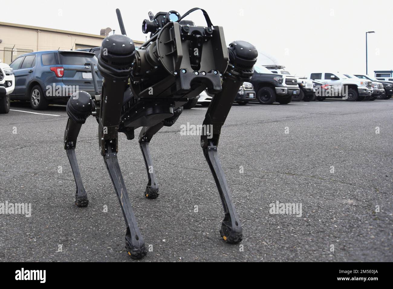 Ein Quadrupedal Unmanned Ground Vehicle (QUGV) oder „Robot Dog“ führt am 5. März 2022 einen Probelauf auf dem Luftwaffenstützpunkt Portland, Oregon, durch. Die QUGV ist die neueste Ergänzung des 142.-Sicherheitsgeschwaders und bietet durch zusätzliche Erkennungs- und Alarmfunktionen eine verbesserte Einsatzeffektivität. Stockfoto