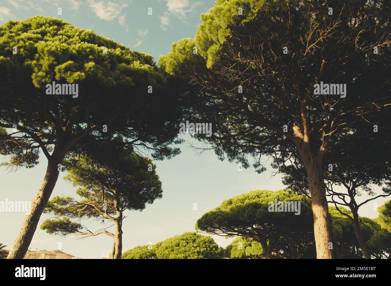 La Pineda Stockfoto