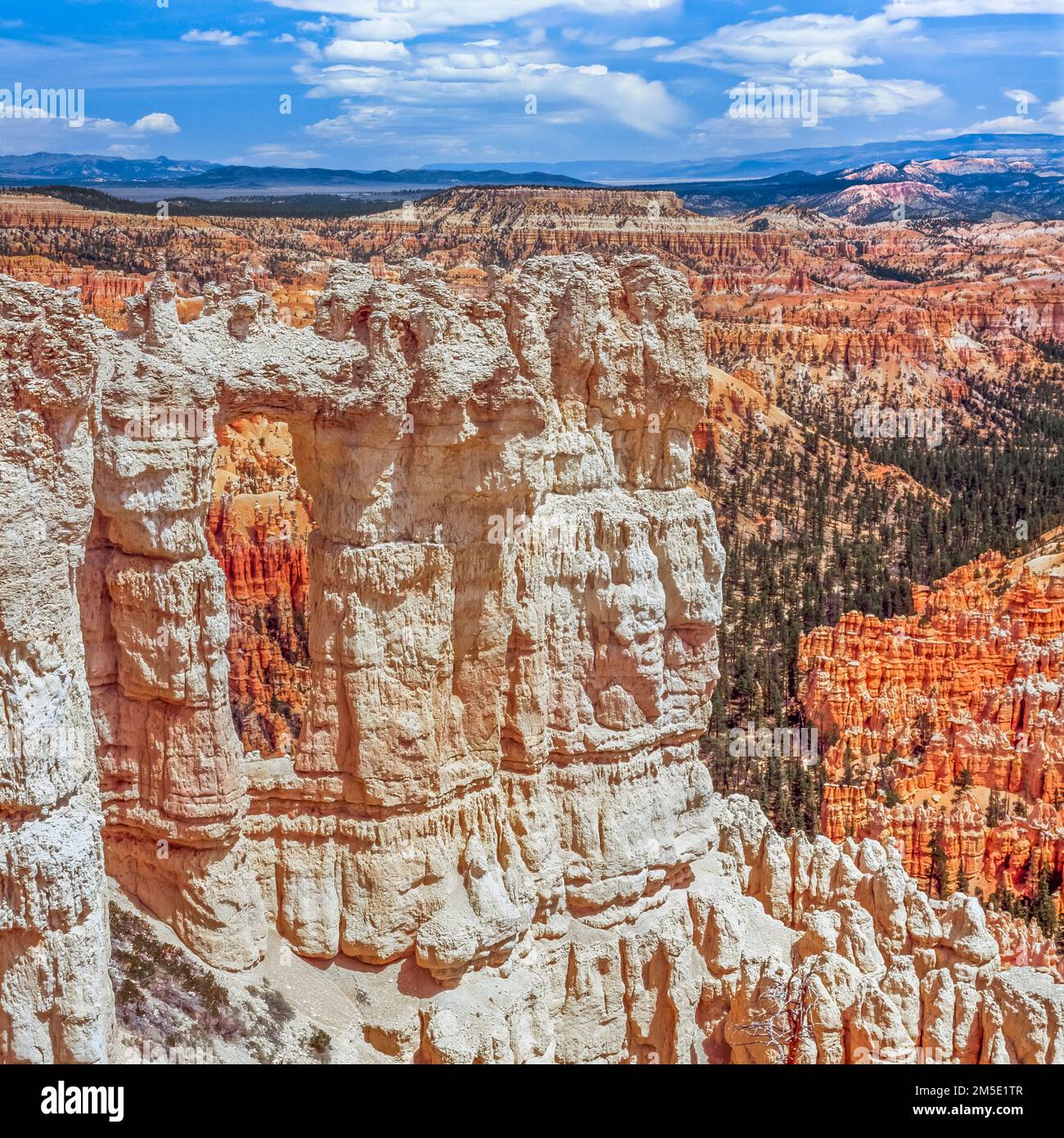 Natürliches Fenster in einer weißen Sandsteinmauer über orangefarbenen Hoodoos im bryce Canyon-Nationalpark, utah Stockfoto