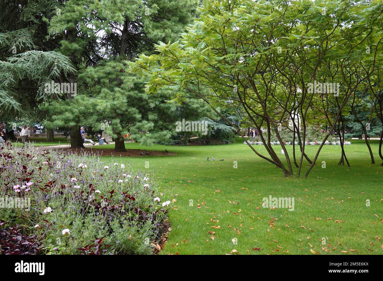 Frankreich, Paris, 6. Arrondissement, Jardin du Luxembourg - Luxembourg Garden Photo © Fabio Mazzarella/Sintesi/Alamy Stock Photo Stockfoto