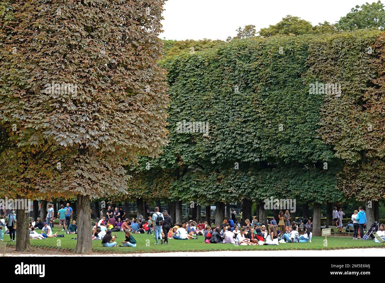 Frankreich, Paris, 6. Arrondissement, Jardin du Luxembourg - Luxembourg Garden Photo © Fabio Mazzarella/Sintesi/Alamy Stock Photo Stockfoto