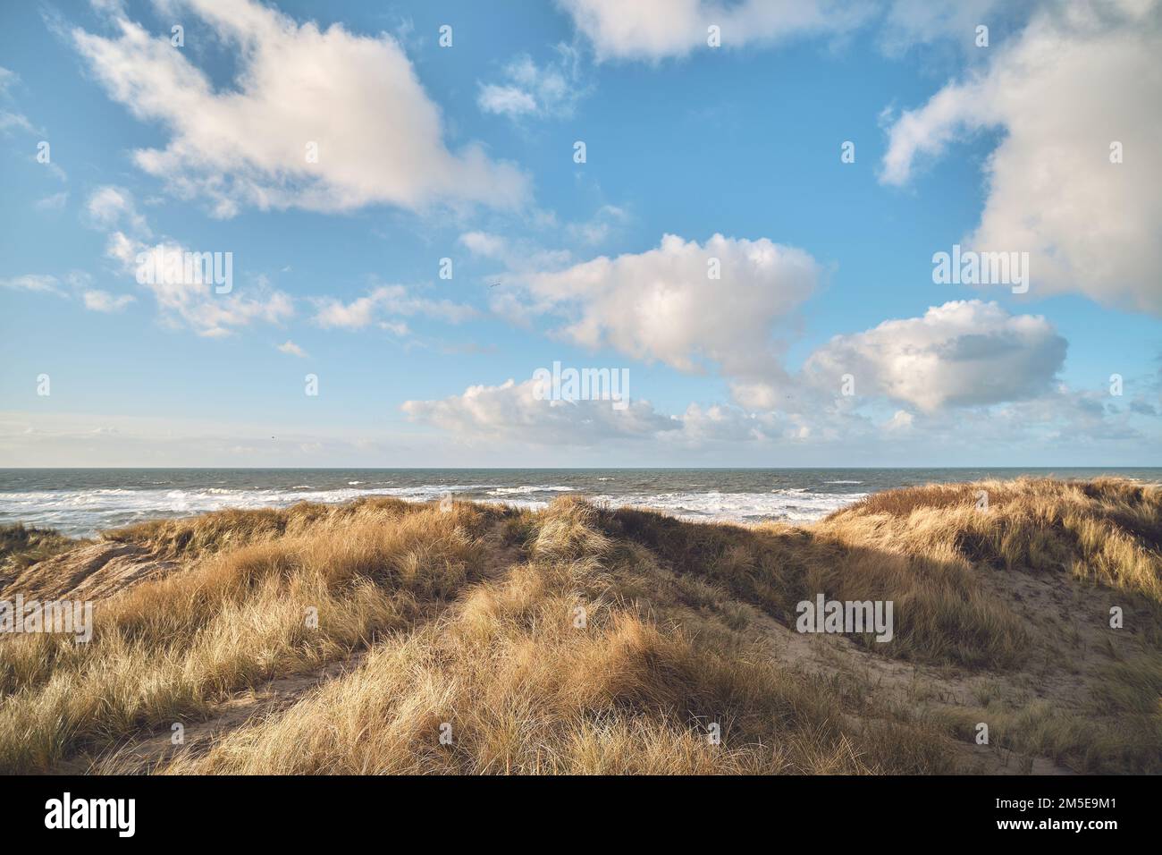 Küstenlandschaft im Westen Dänemarks. Hochwertiges Foto Stockfoto