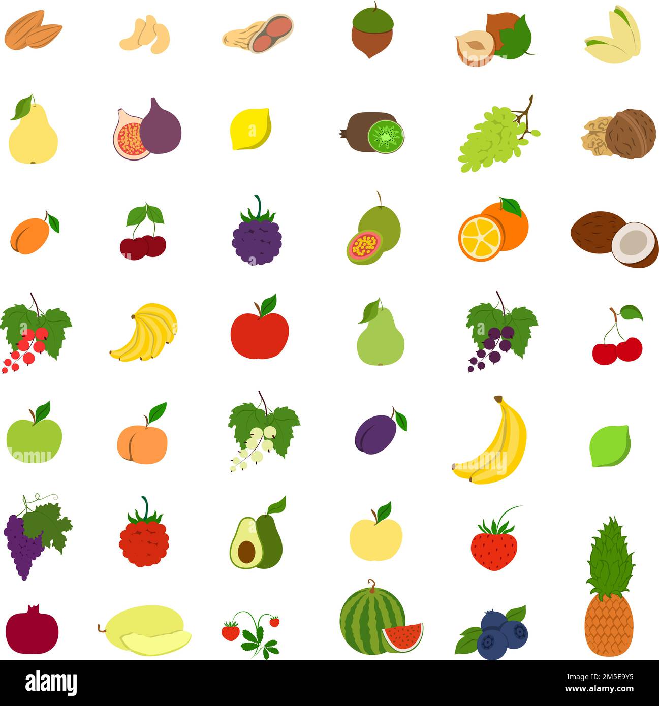 Obst-Illustrationen sind fertig. Bananen und Äpfel, Pflaumen und Birnen und mehr. Stock Vektor