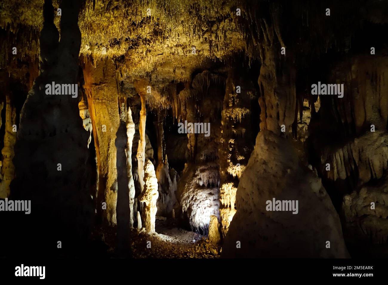 Kalksteinhöhlen im Carlsbad Caverns-Nationalpark in Carlsbad, New Mexico Stockfoto