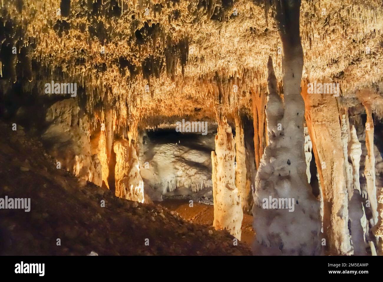 Kalksteinhöhlen im Carlsbad Caverns-Nationalpark in Carlsbad, New Mexico Stockfoto