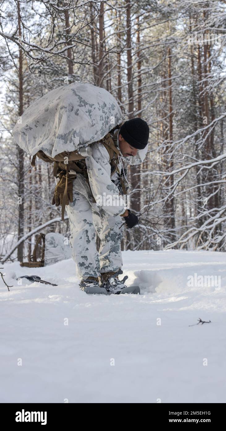 USA Nicholas Lenan, aus Chicago, Illinois, Und ein Netzwerkadministrator mit All Domain Effects Team, 2. Air Naval Gunfire Liaison Company, II Marine Expeditionary Force Information Group, verwendet eine Zweigstelle, um seine Schneespuren während einer Täuschungsspur praktischen Anwendung zu verbergen, als Vorbereitung für die Übung Cold Response 2022, Setermoen, Norwegen, 8. März 2022. Übung Cold Response '22 ist eine alle zwei Jahre stattfindende norwegische nationale Bereitschafts- und Verteidigungsübung, die in ganz Norwegen stattfindet, mit Beteiligung jedes seiner Militärdienste sowie ab 26 weiteren Nordatla Stockfoto