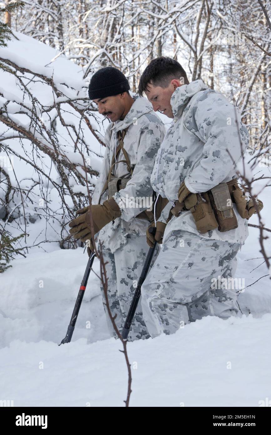 USA Nicholas Lenan (links), ein Netzwerkadministrator, Und CPL. Joseph Minton (rechts), ein Administrator für Datensysteme, mit All Domain Effects Team, 2. Air Naval Gunfire Liaison Company, II Marine Expeditionary Force Information Group, graben ihren Beobachtungsposten während einer Täuschungsspur praktische Anwendung zur Vorbereitung der Übung Cold Response 2022, Setermoen, Norwegen, 8. März 2022 aus. Übung Cold Response '22 ist eine alle zwei Jahre stattfindende norwegische nationale Bereitschafts- und Verteidigungsübung, die in ganz Norwegen stattfindet, an der sich auch alle seine Militärdienste beteiligen Stockfoto
