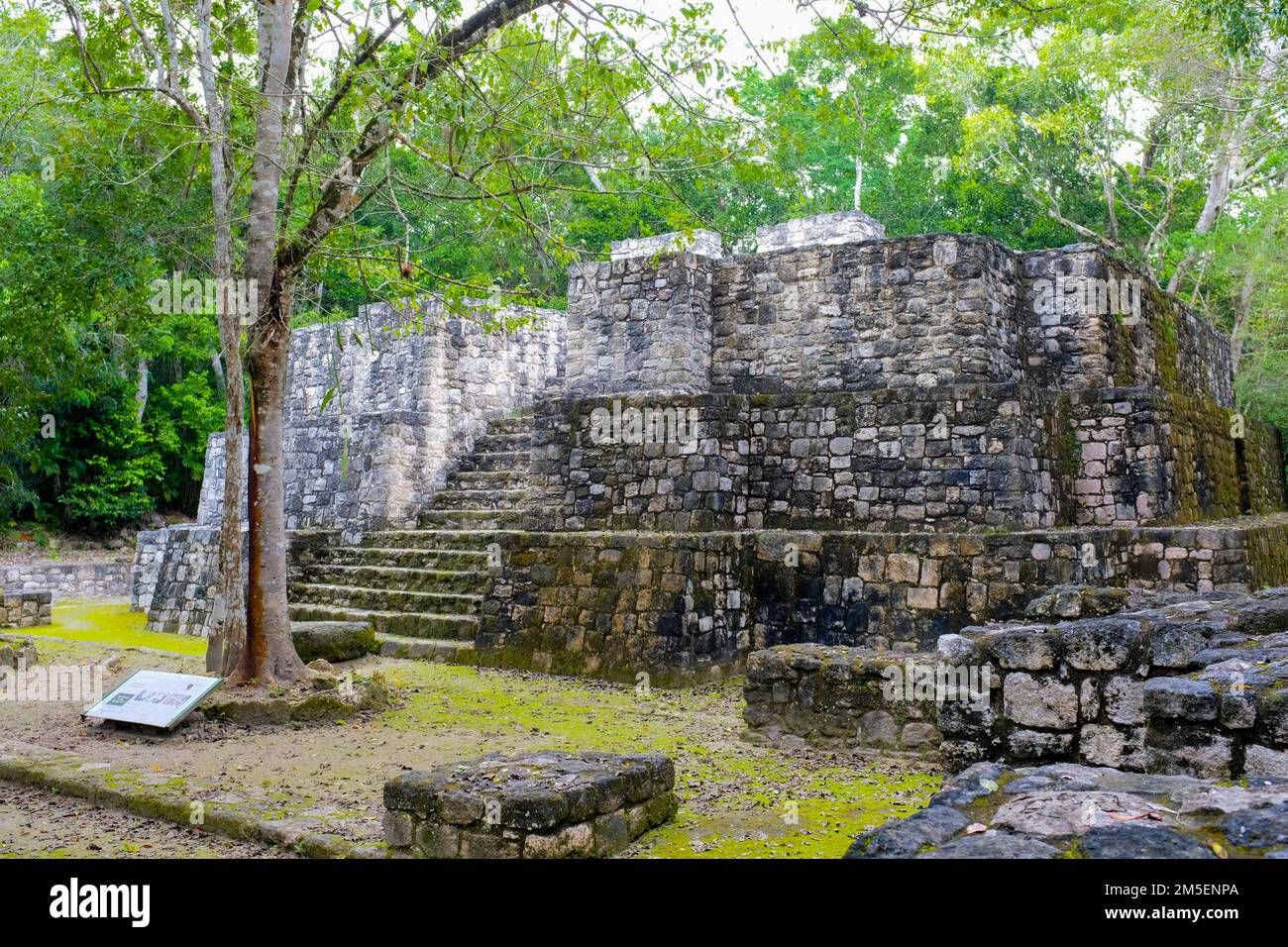 Die Maya-Ruinen von Calakamul, Campeche Mexiko Stockfoto