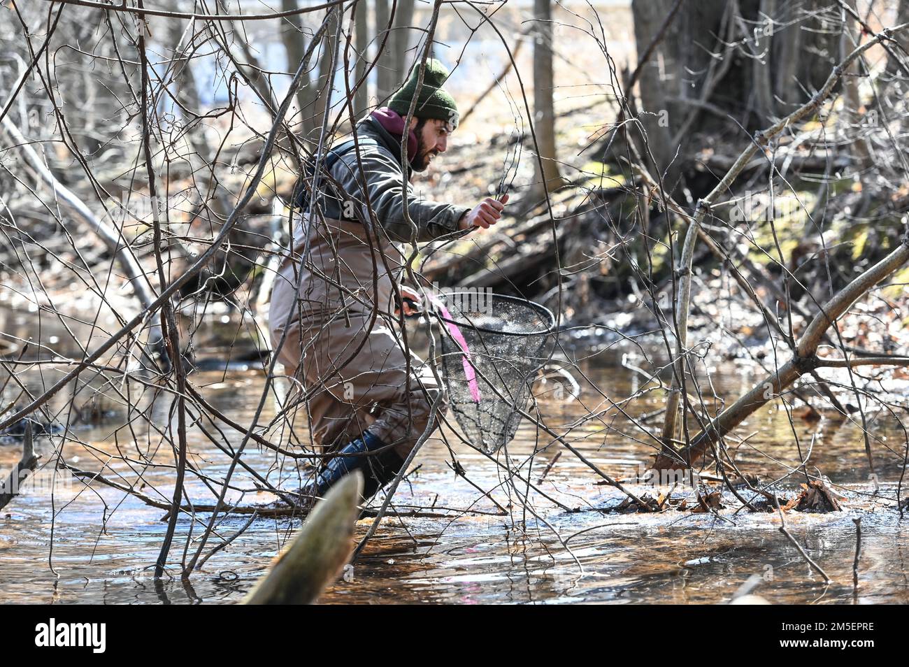 Jonathan Shuster, Projektbiologe Steven W. Carothers & Associates, spaziert auf der Hanscom Air Force Base, Massachusetts, März 8, durch einen Bach und sucht nach Salamandern. Wildtierspezialisten führten den ganzen Monat lang Erhebungen durch, um amphibische Lebensräume in der Anlage zu bewerten. Stockfoto
