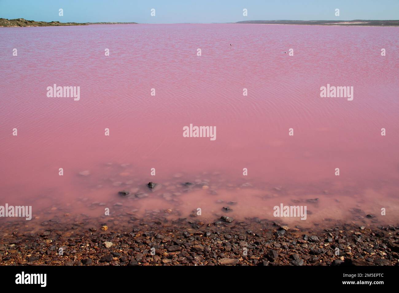 hutt Lagoon Pink Lake in Port gregory (australien) Stockfoto