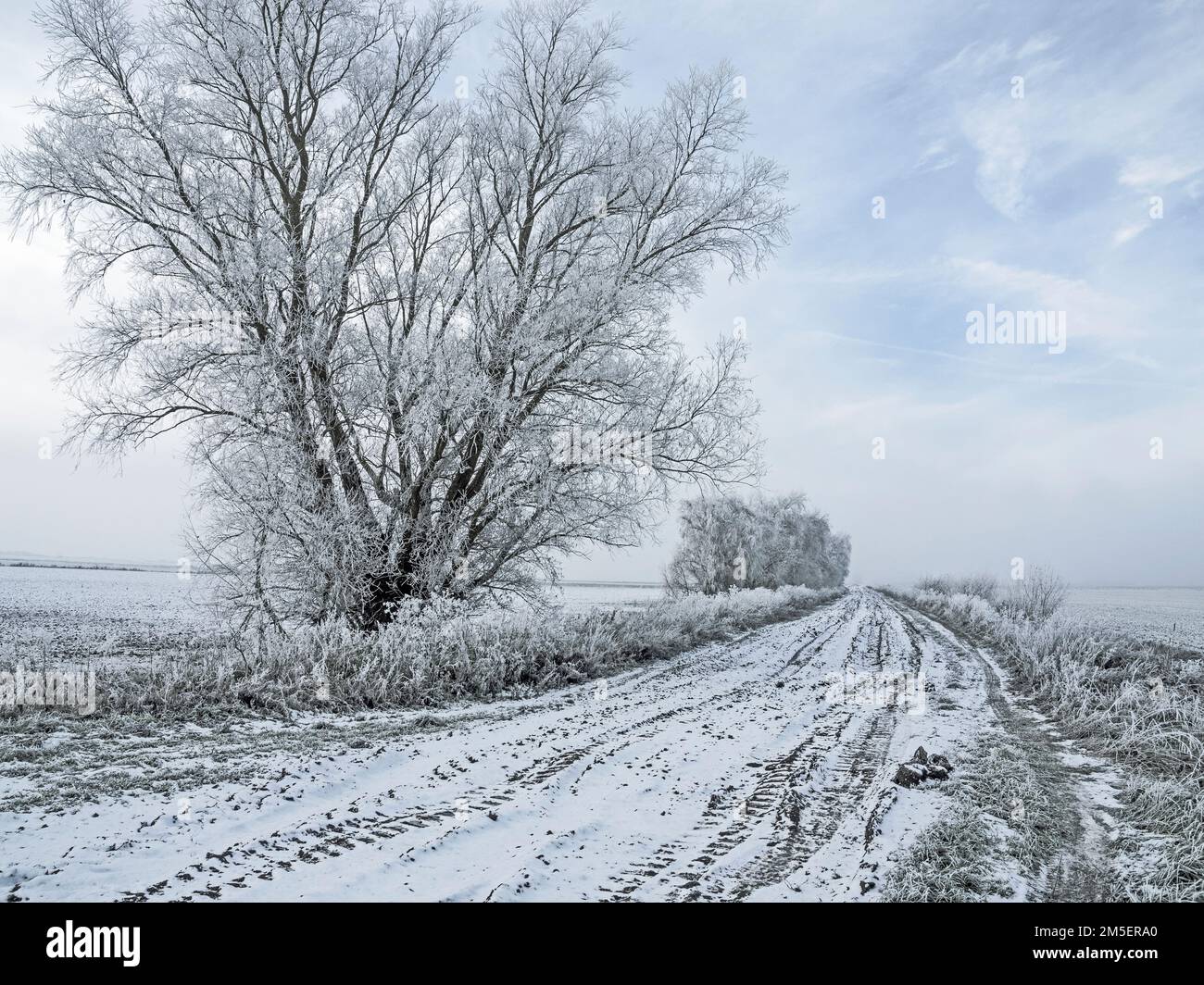 Blick auf den Fenland, der in heftigem Eisfrost gefahren ist, in der Nähe von Haddenham, Cambridgeshire, England Stockfoto