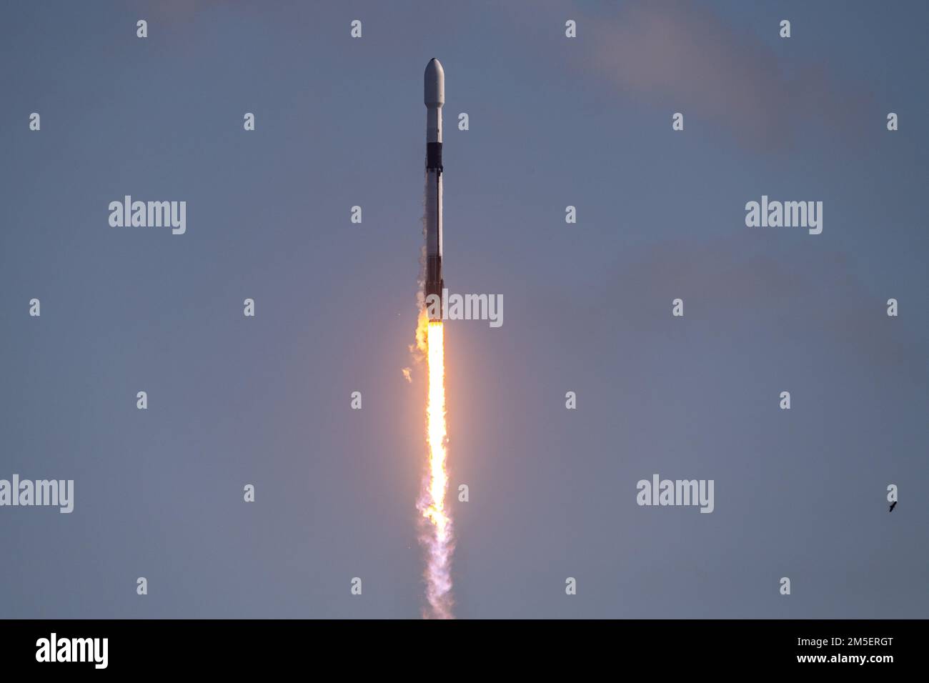 Eine Falcon 9-Rakete startet vom SLC-40 an der Cape Canaveral Space Force Station, Florida, 9. März 2022. Die Starlink-4-10-Mission brachte die nächste Charge der Starlink-Satelliten von SpaceX in den Orbit. Stockfoto