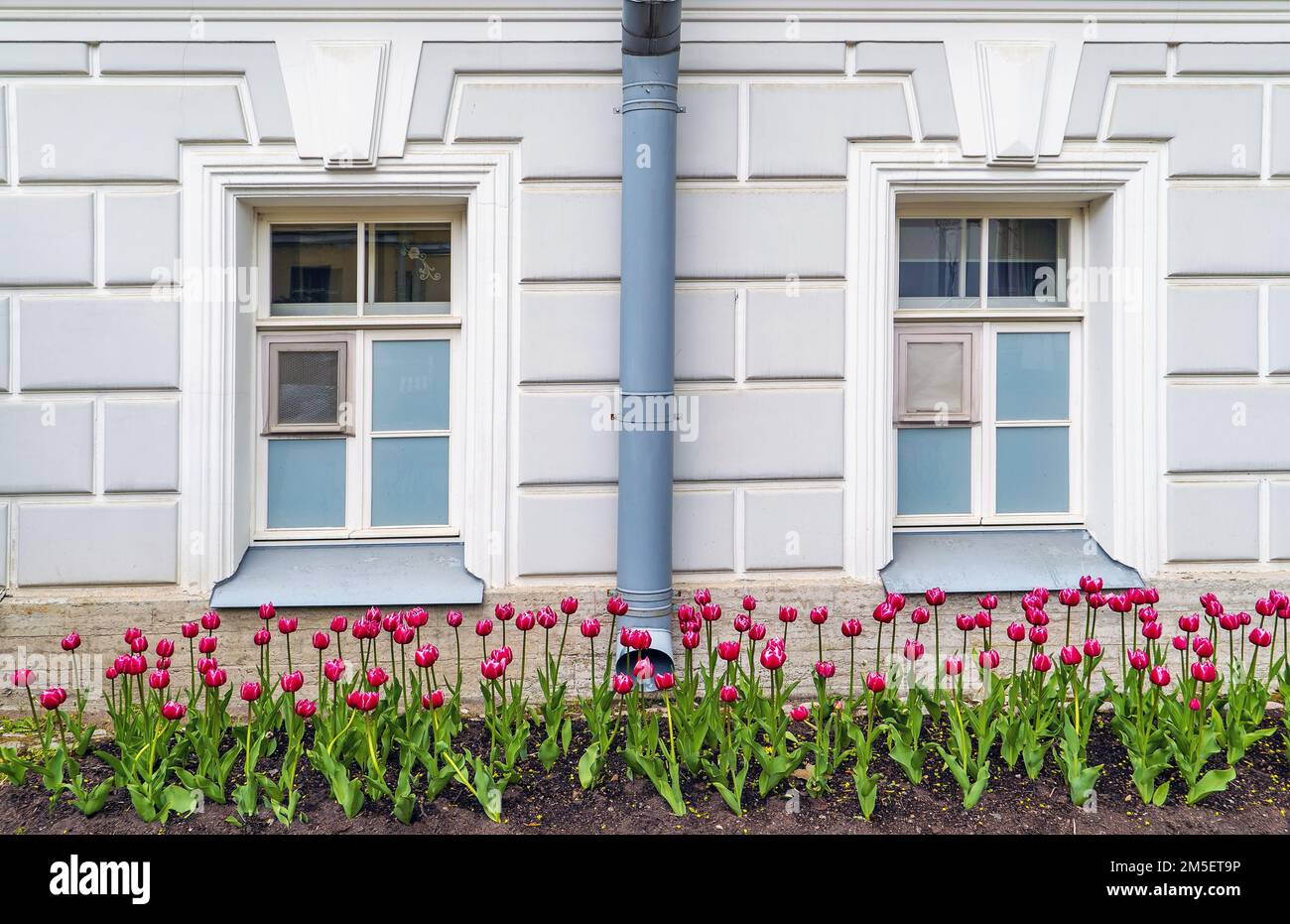Elagin Island Park. Sankt Petersburg. Elagin Palast. Stockfoto