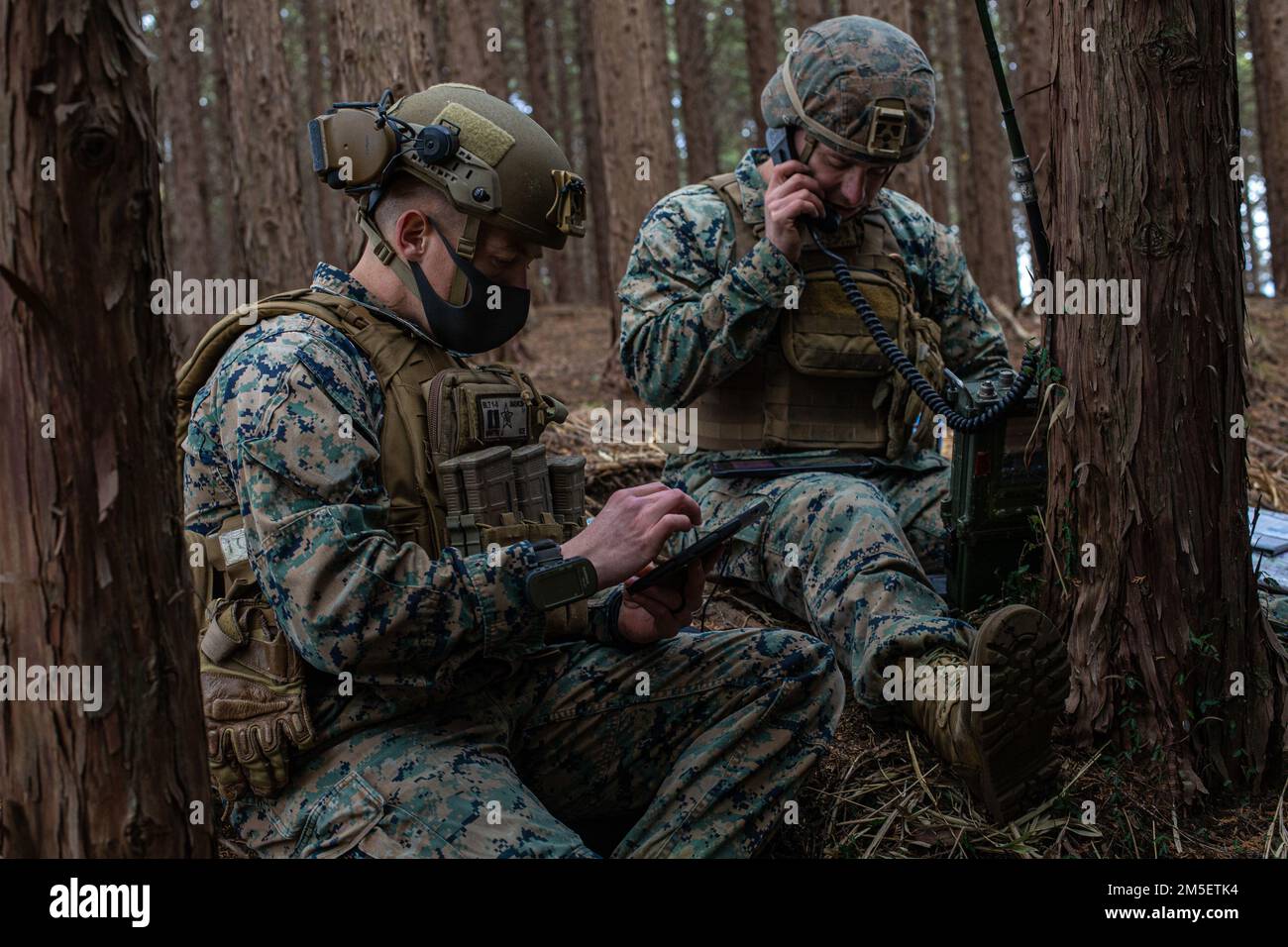USA Marines mit Battalion Landing Team 1/5, 31. Marine Expeditionary Unit (MEU), fordern die Evakuierung von Verletzten während einer kleinen Manöver Übung im Combined Arms Training Center Camp Fuji, Japan, März. 9, 2022. Das kleine Manöver umfasste mehrere Einheiten, die die Positionen anderer Einheiten durchquerten, während sie sich auf ein Ziel zubewegten. Diese Aktionen sind die komplexesten Entwicklungen, die eine partnerschaftliche Truppe durchführen kann. Die maritime Verteidigungsübung Amphibious Rapid Deployment Brigade ist eine bilaterale Übung zur Verbesserung der Interoperabilität und Stärkung der Verbindungen zwischen den US-Streitkräften und den japanischen Streitkräften für Stockfoto