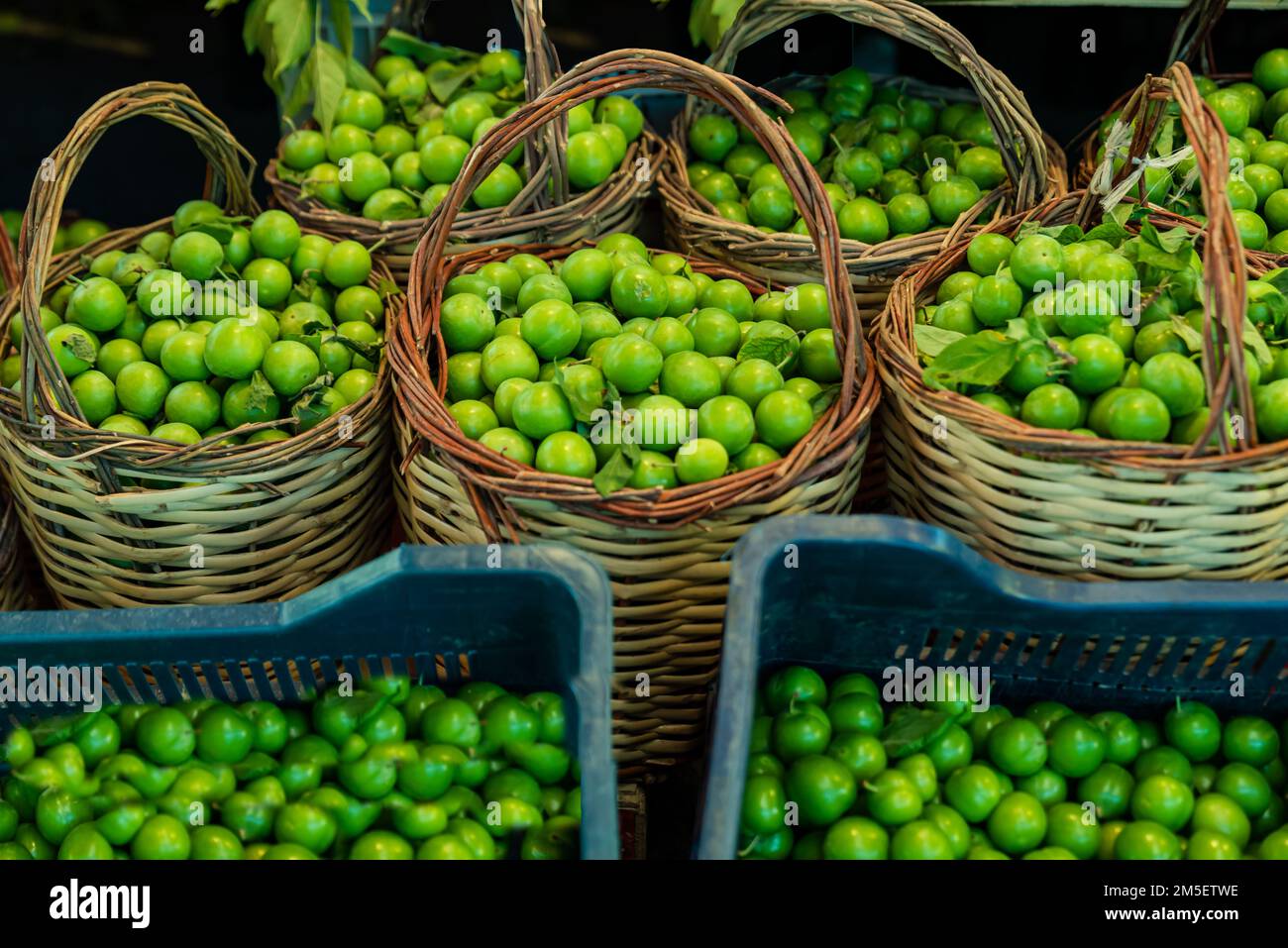 Hintergrund: Grüne Pflaumen, grüne Sommerfrucht-Pflaumen, die auf dem Freiluftmarkt verkauft werden, grüne Pflaumen in Körben auf Verkaufsständen auf dem Freiluftmarkt Stockfoto