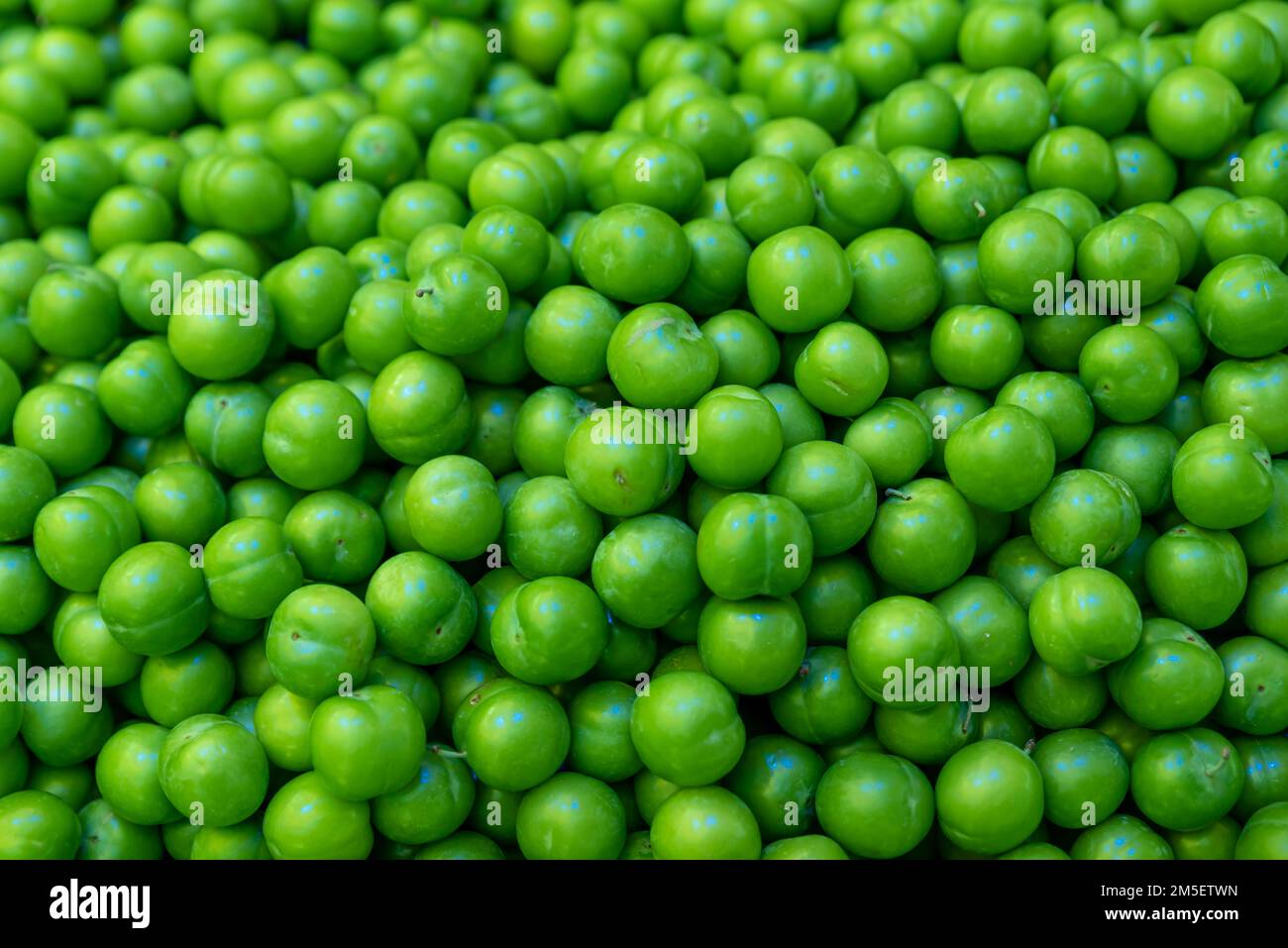 Hintergrund: Grüne Pflaumen, grüne Sommerfrucht-Pflaumen, die auf dem Freiluftmarkt verkauft werden Stockfoto