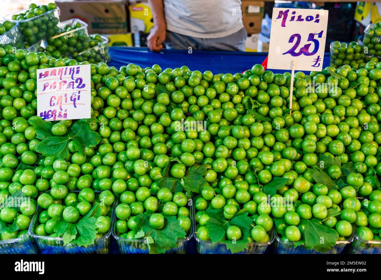Hintergrund: Grüne Pflaumen, grüne Sommerfrucht-Pflaumen, die auf dem Freiluftmarkt verkauft werden, Marketer und Verkaufsstand, die grüne Pflaumen auf dem Freiluftmarkt verkaufen Stockfoto