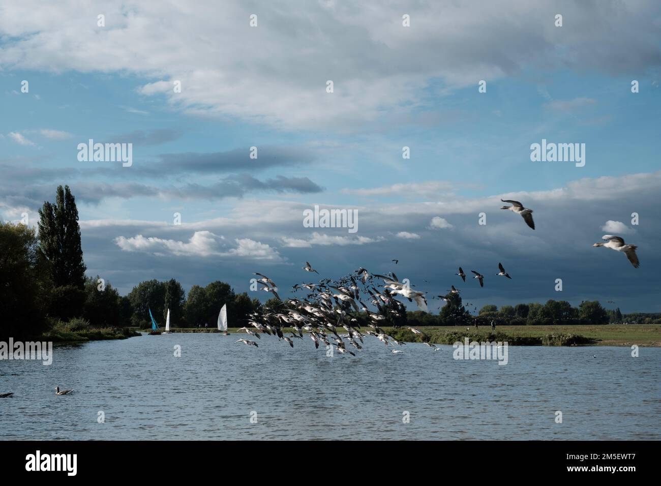 River Thames, Oxfordshire, Vereinigtes Königreich Stockfoto
