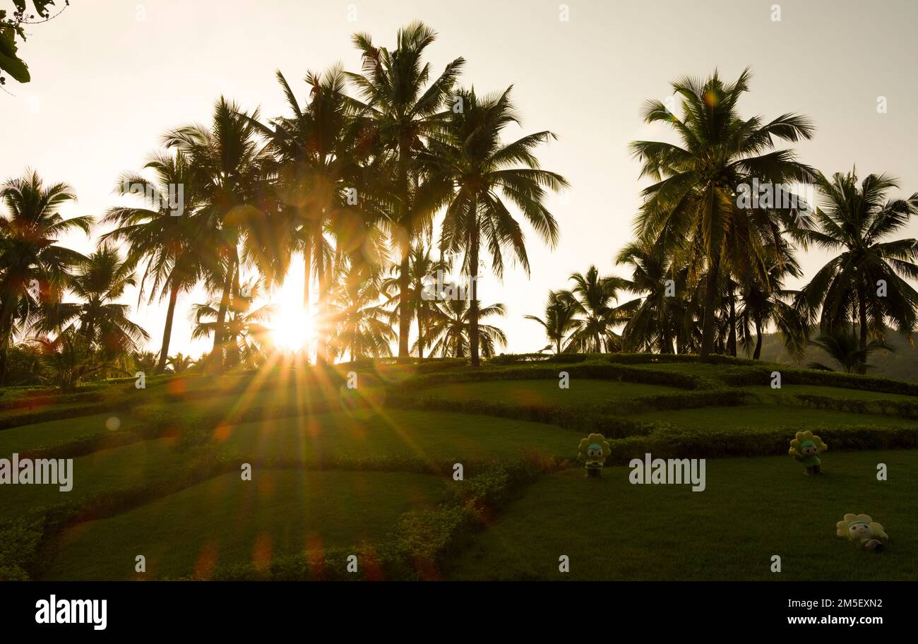 Blick auf den Sonnenuntergang im Royal Flora Ratchaphruek Park. Chiang Mai, Thailand. Stockfoto