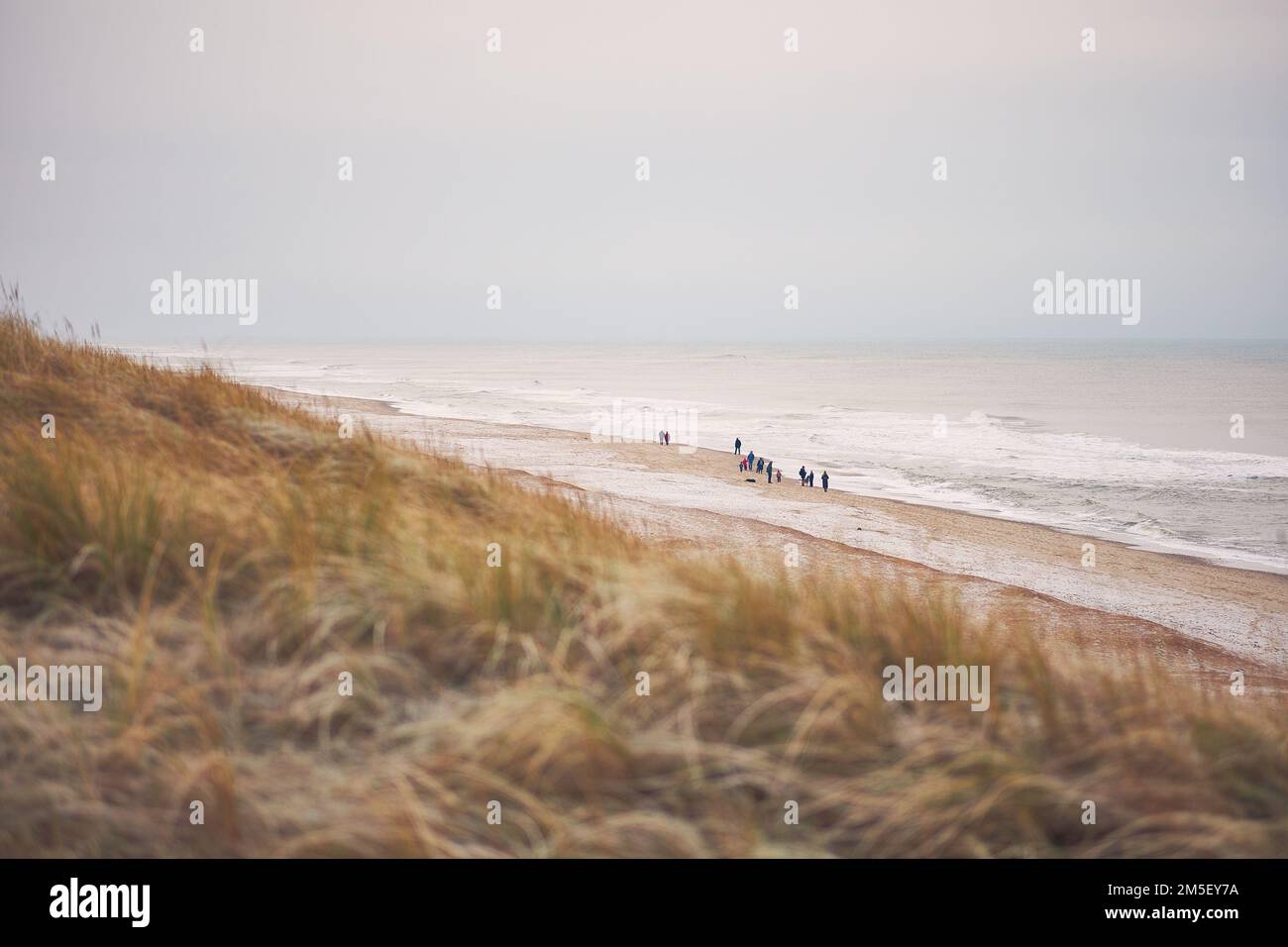 Sie wandern an der dänischen Küste. Hochwertiges Foto Stockfoto