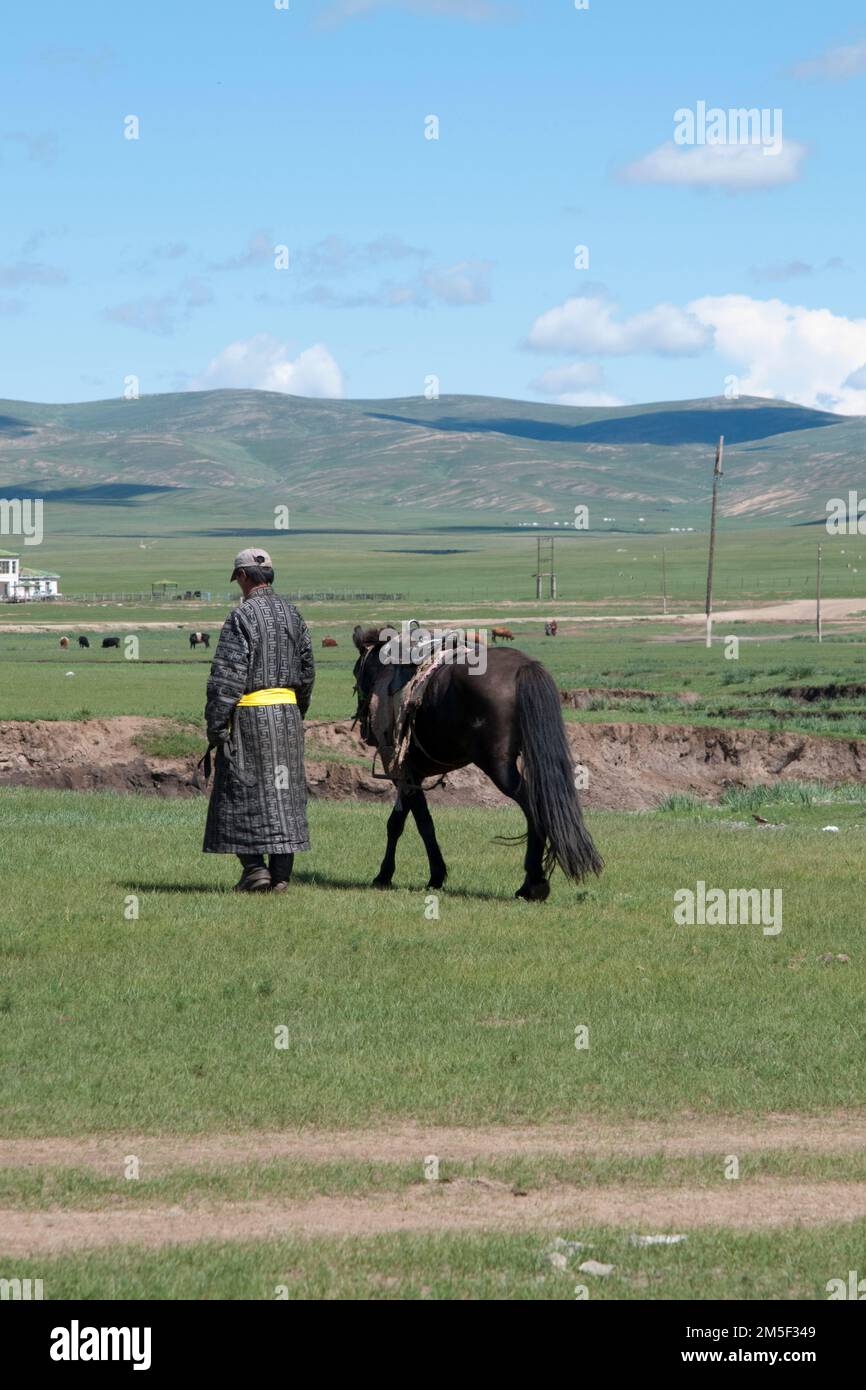 Ein unbekannter Mann mit traditionellen mongolischen Klamotten, der neben seinem Pferd spaziert. Mongolei Stockfoto
